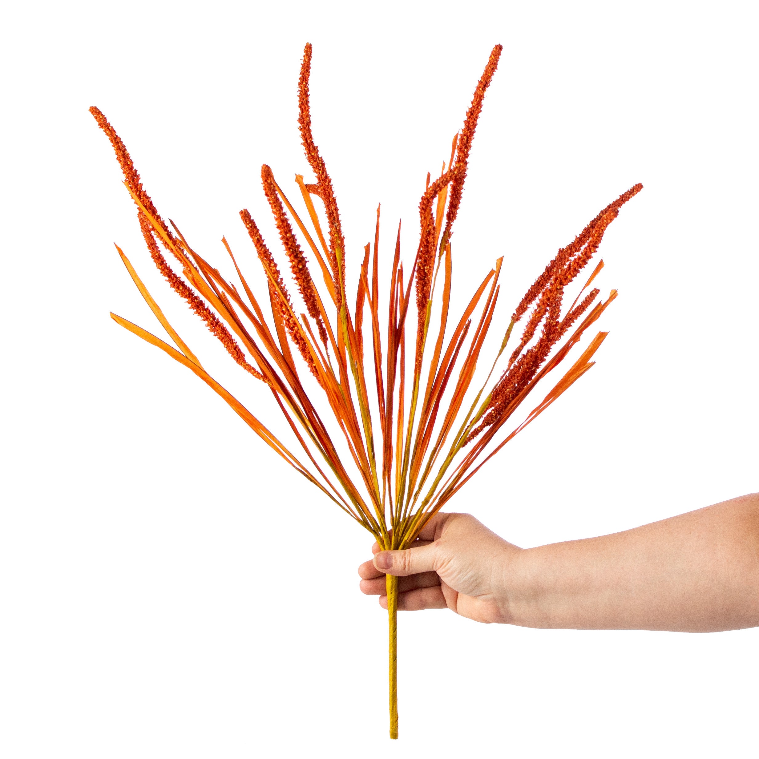 24" Foxtail Bush: Orange detail photo 3