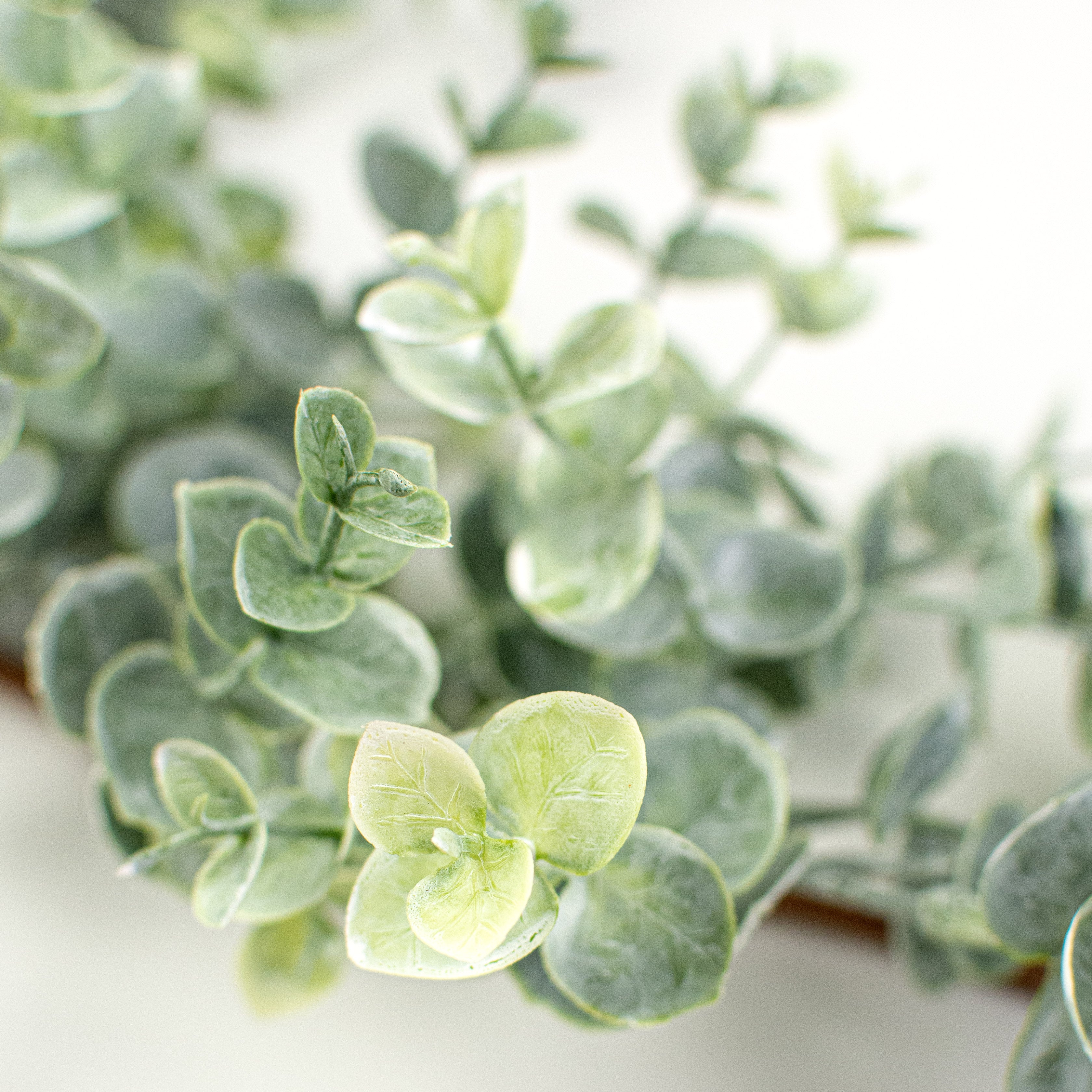 6' Frosted Eucalyptus Garland detail photo 4
