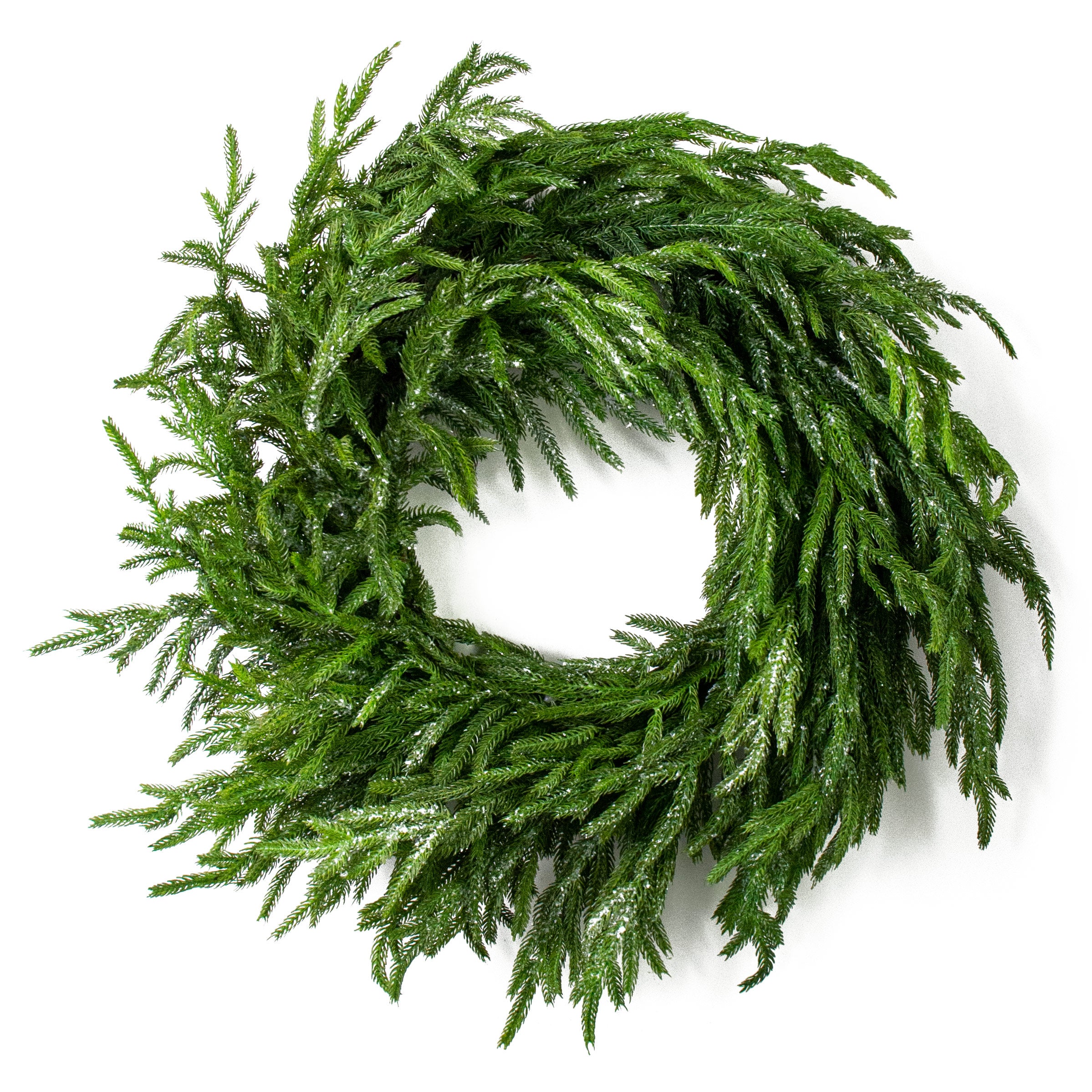 24" Frosted Fir Pine Wreath Item Number: 2833272GI