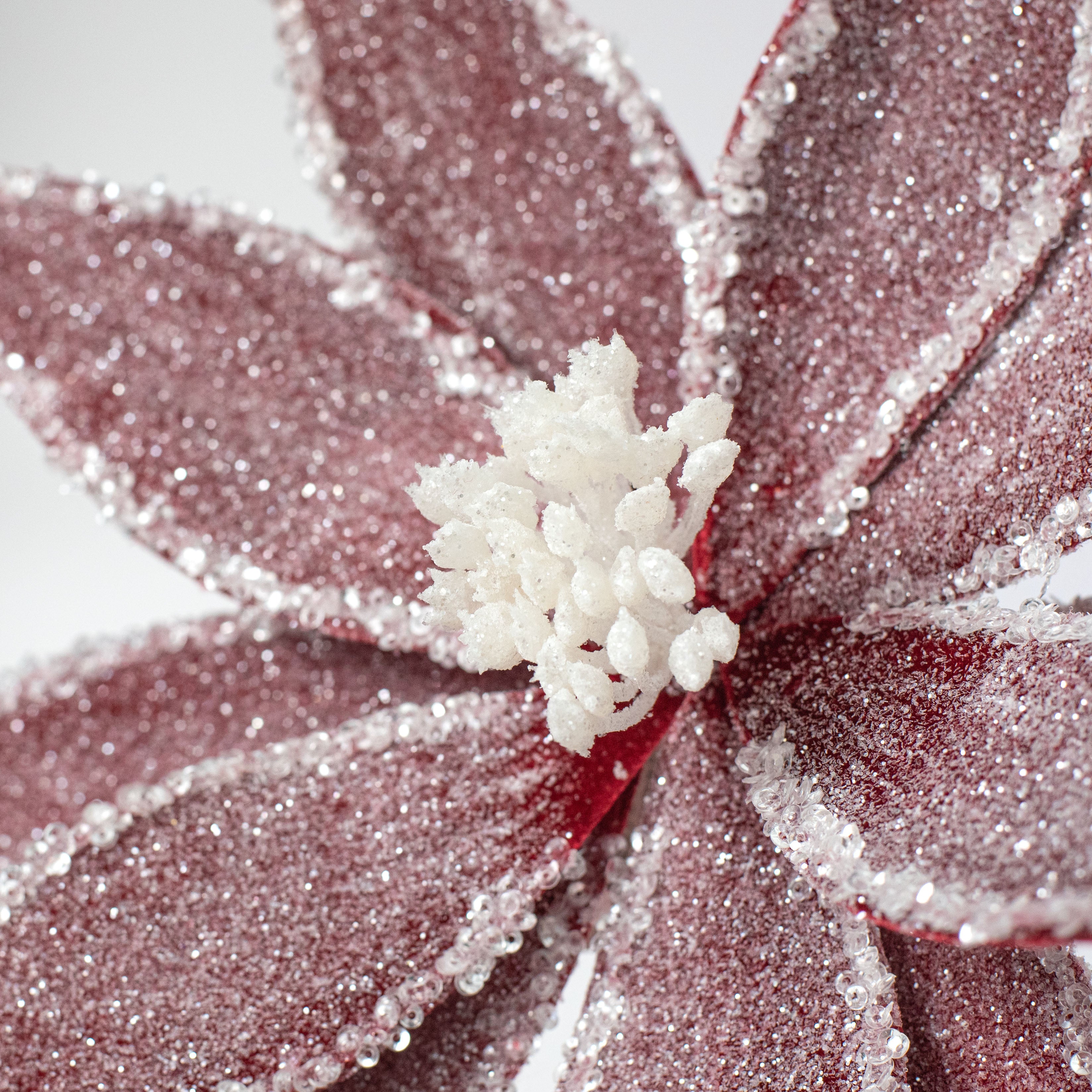 13" x 26" Frosted Poinsettia Flower Stem: Burgundy Red Lifestyle Photo