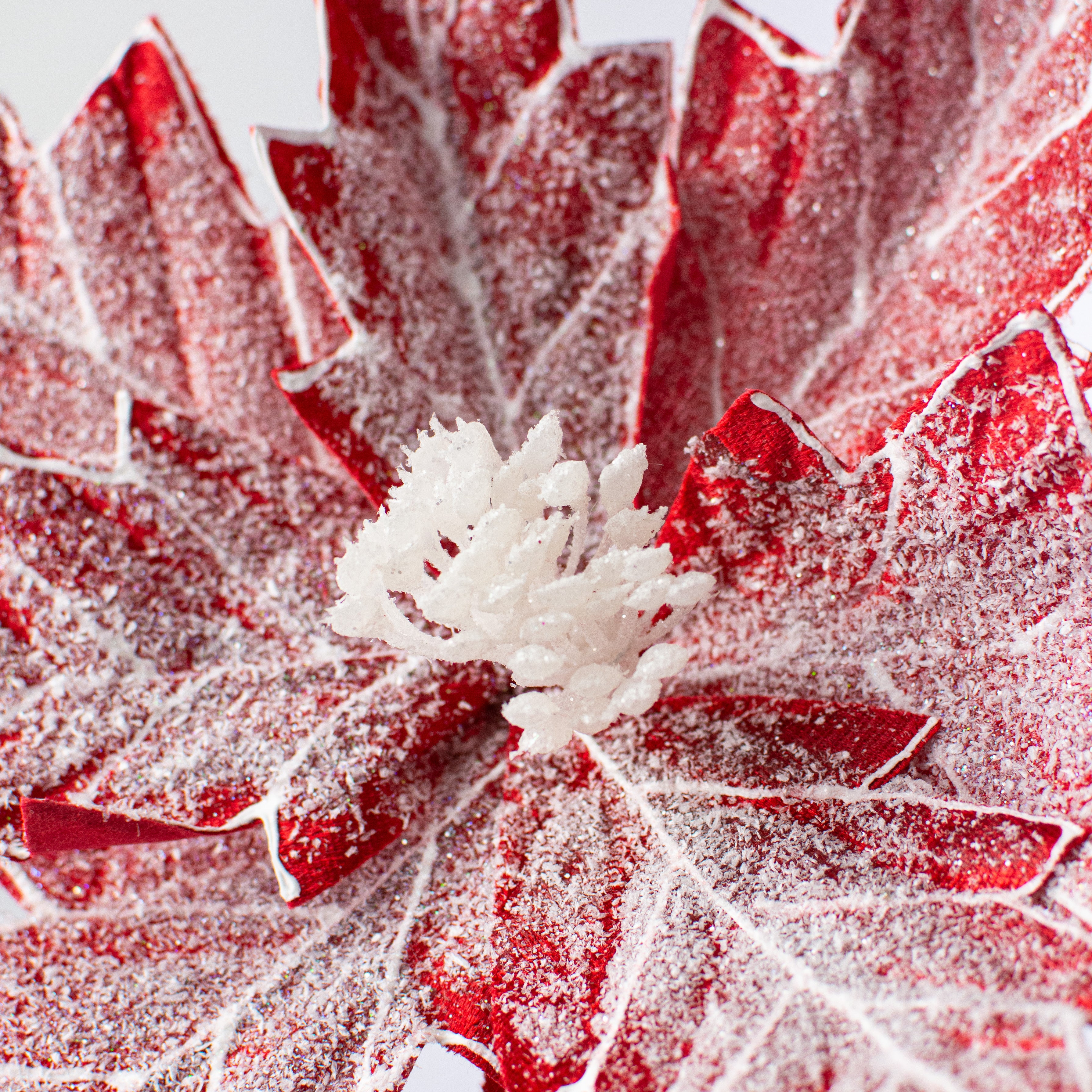 22" Frosted Poinsettia Stem: Red & White Lifestyle Photo