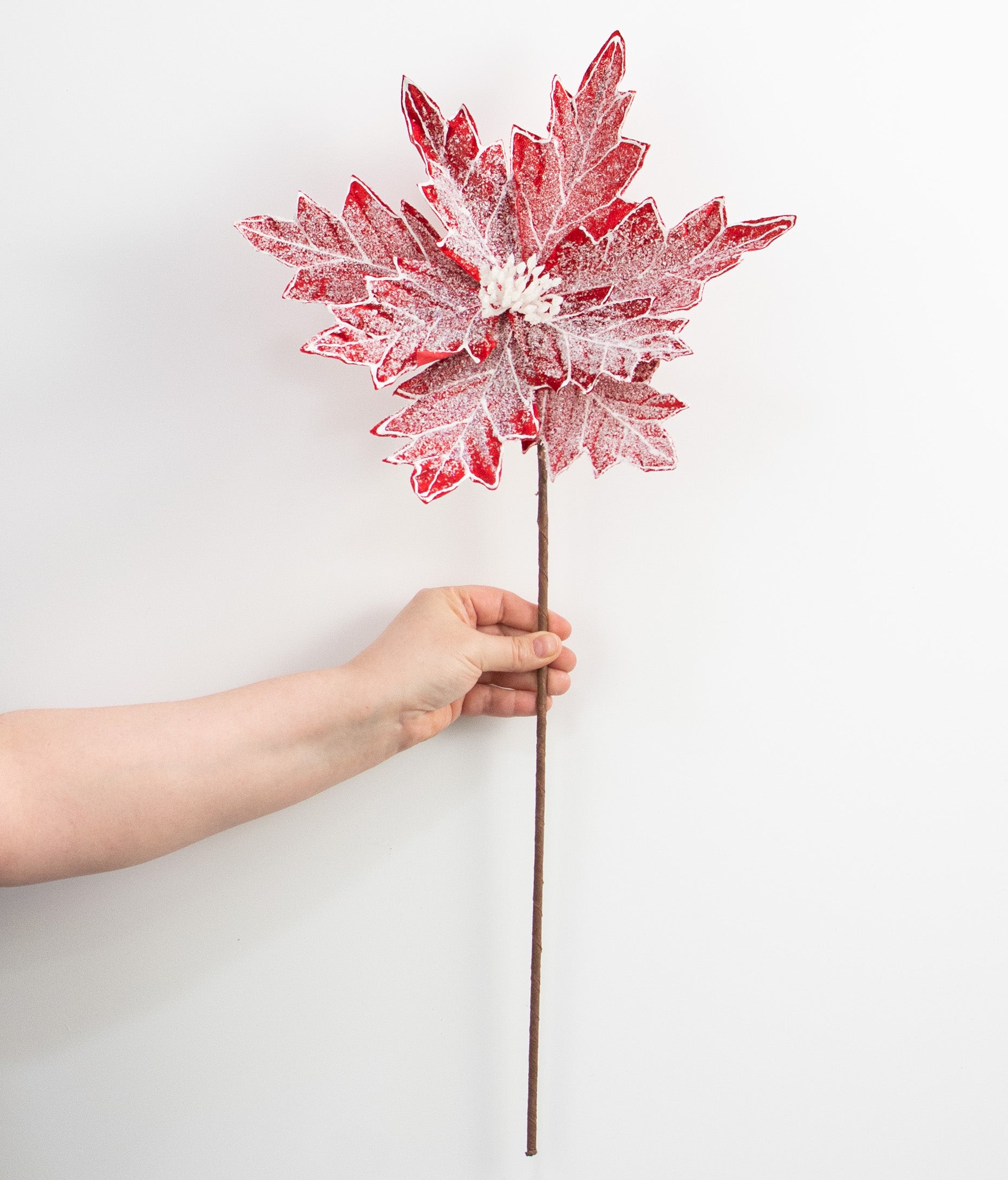 22" Frosted Poinsettia Stem: Red & White detail photo 3