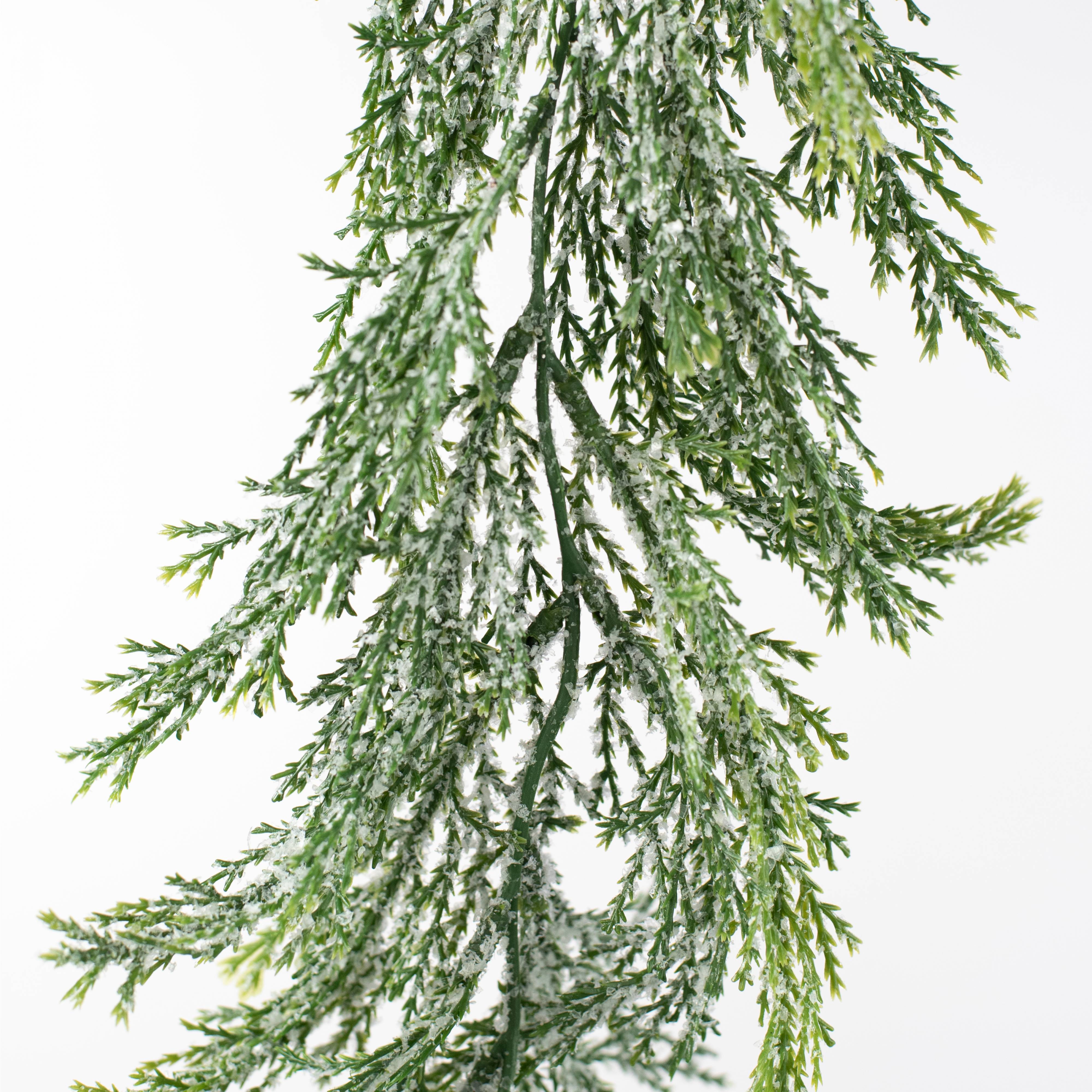 6' Frosted Value Cedar Garland detail photo 3