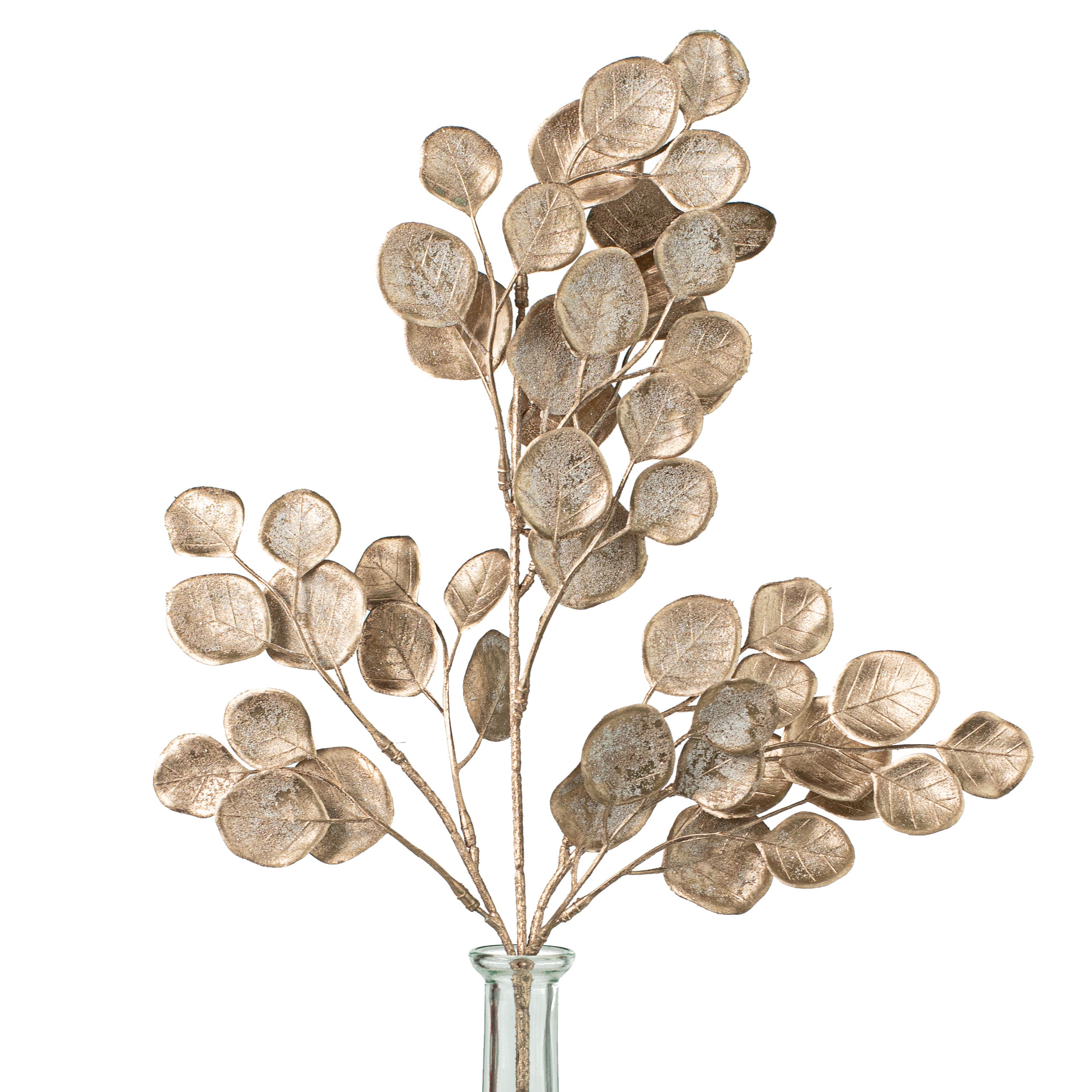 21" Frosty Eucalyptus Spray: Champagne Item Number: 2826081CH