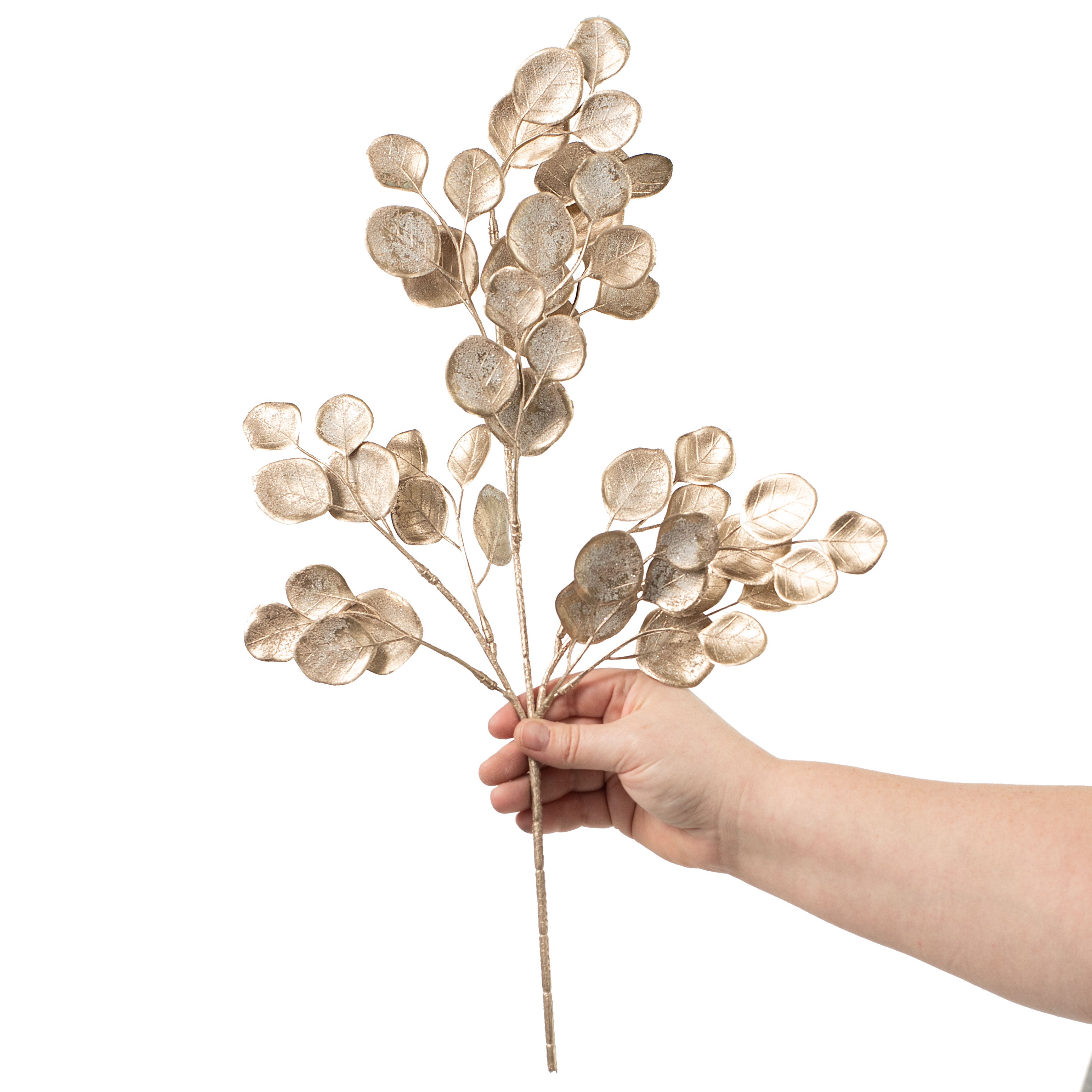21" Frosty Eucalyptus Spray: Champagne detail photo 3