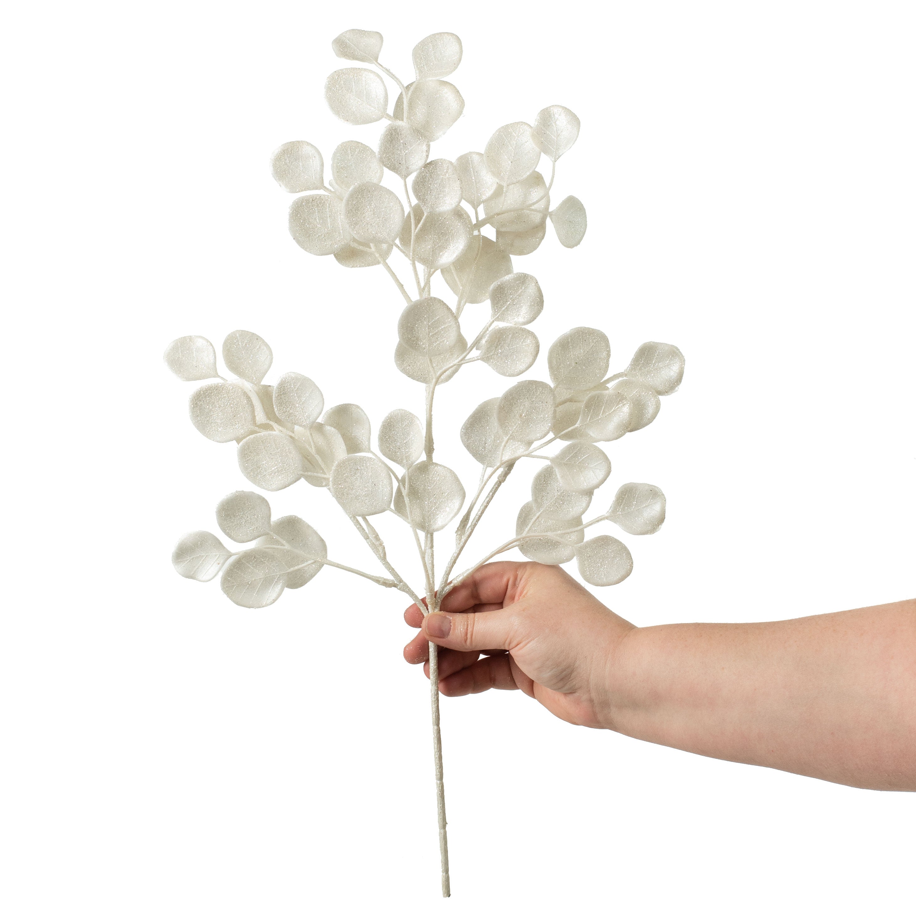 21" Frosty Eucalyptus Spray: White detail photo 3