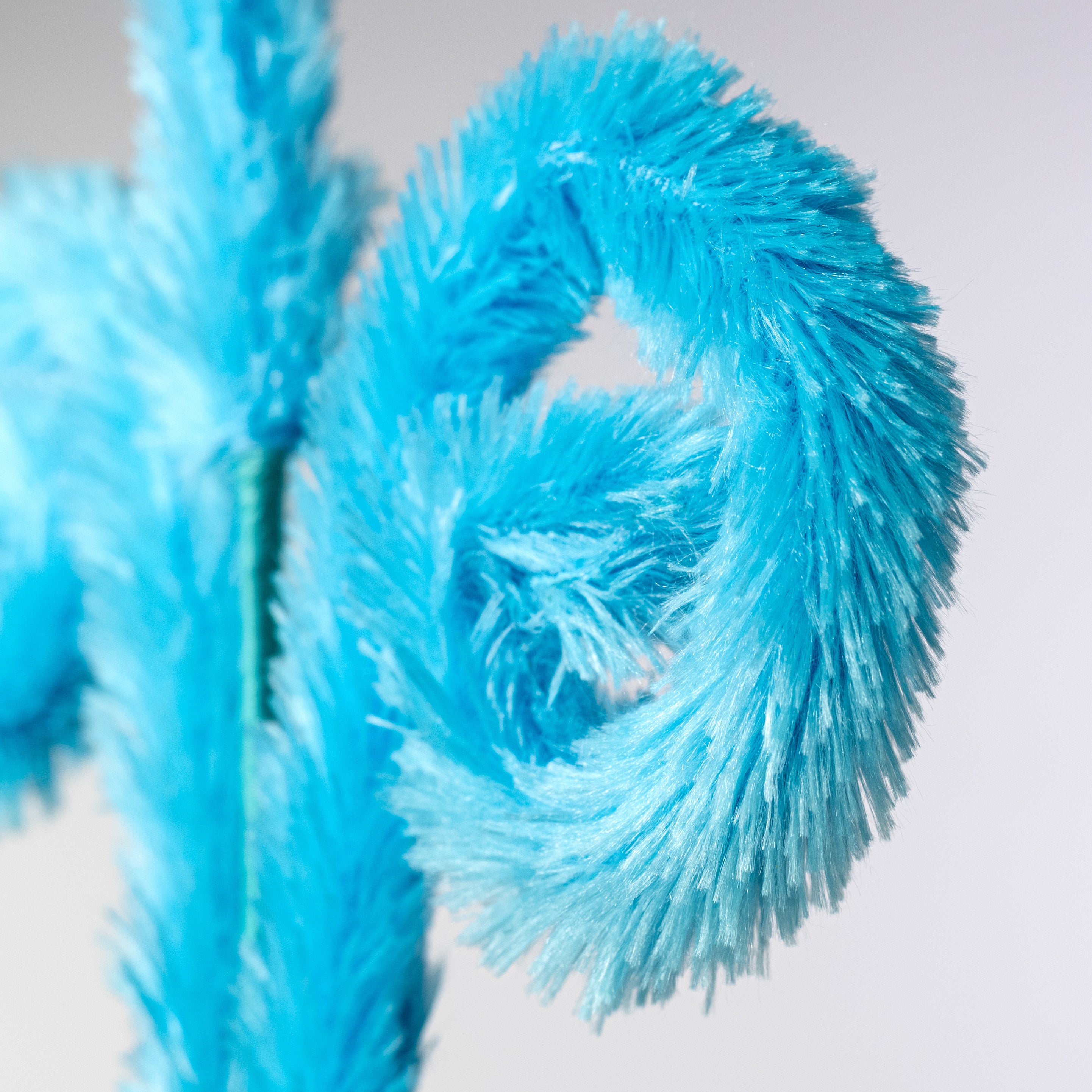 28" Furry Curly Spray: Blue Lifestyle Photo