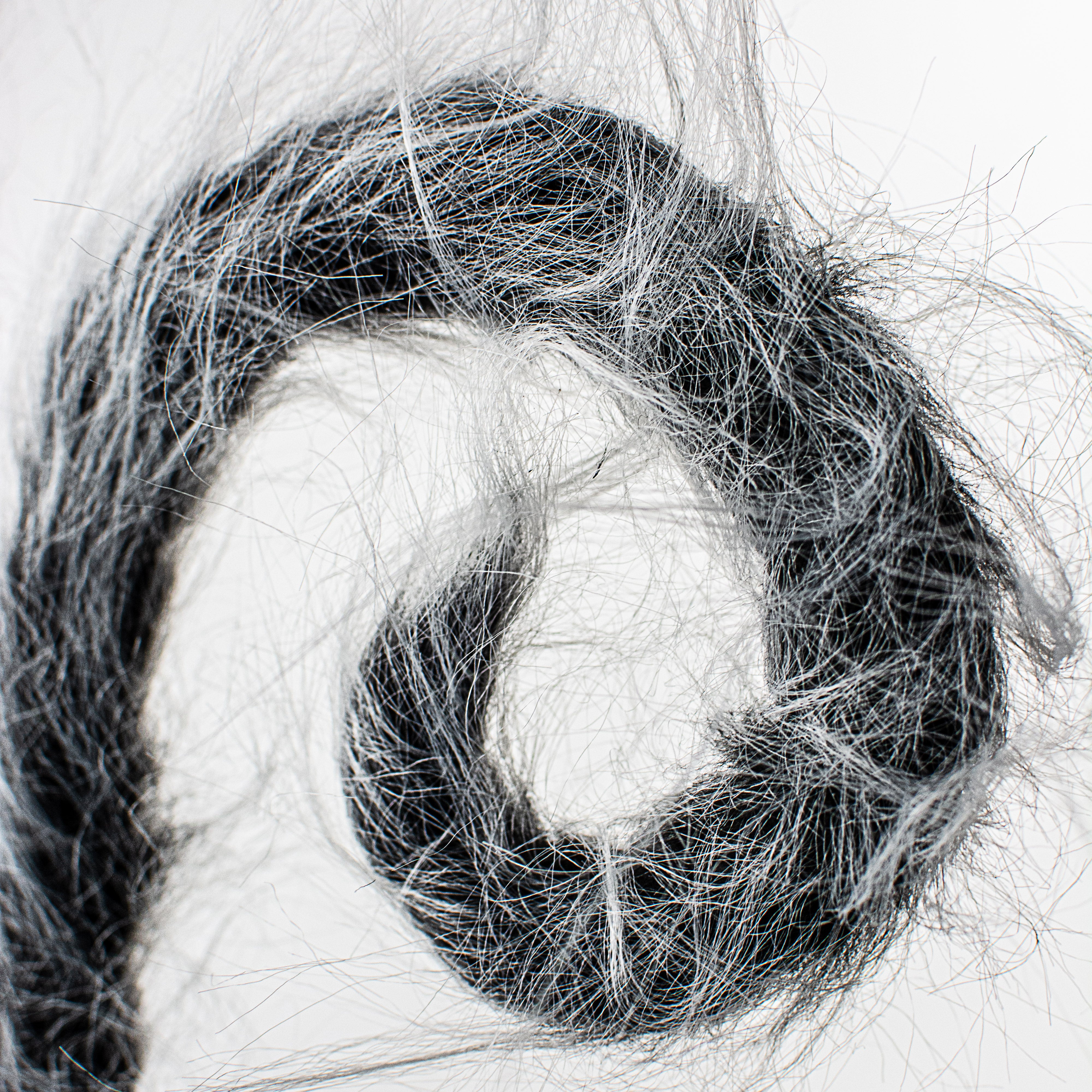 30" Furry Spiral Curly Spray: Black & White Lifestyle Photo