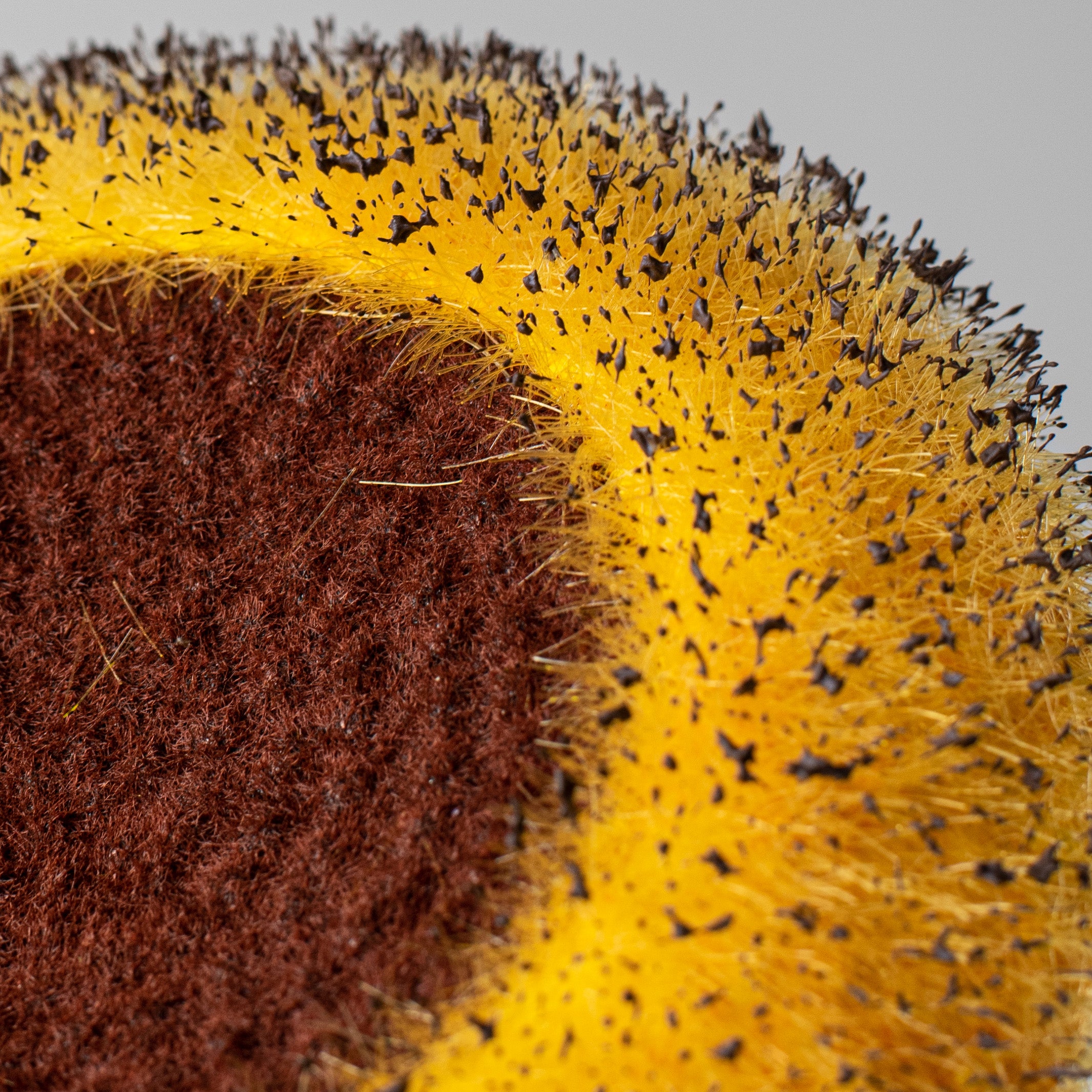 6.25" Fuzzy Flower Head: Yellow & Brown detail photo 5