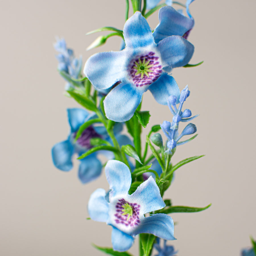 29" Genista Sweet Broom Stem: Blue Lifestyle Photo