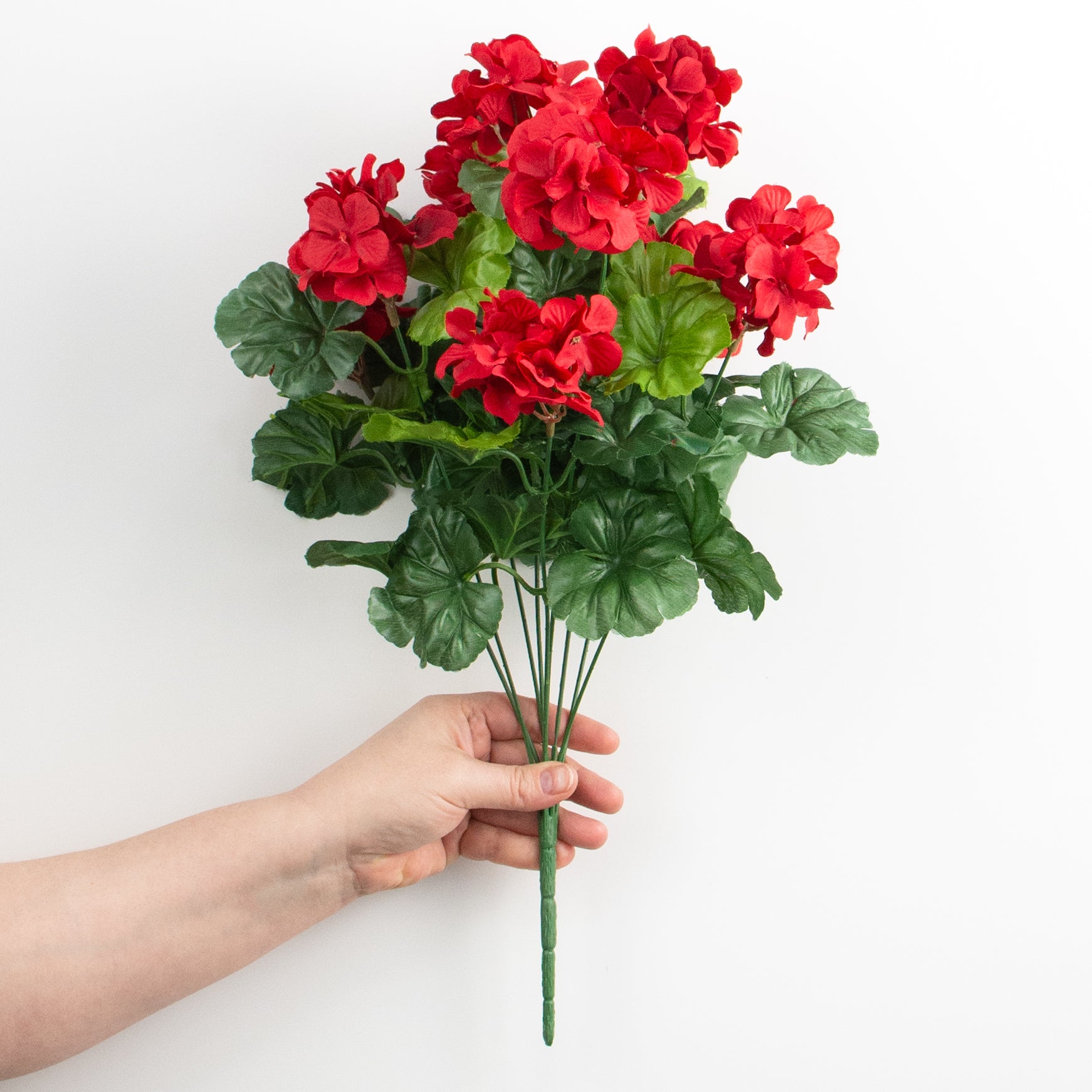 19" Geranium Bush: Red detail photo 3