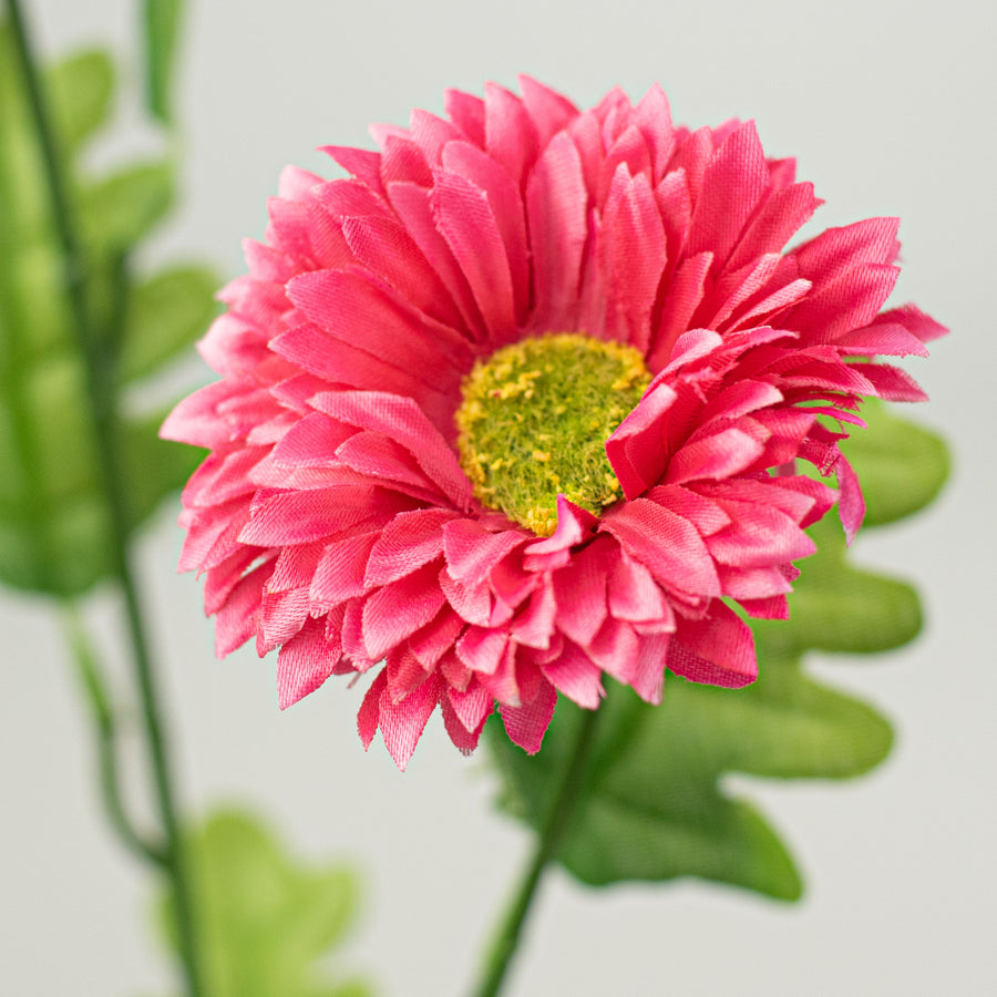 23" Gerber Daisies Spray: Fuchsia Pink Lifestyle Photo