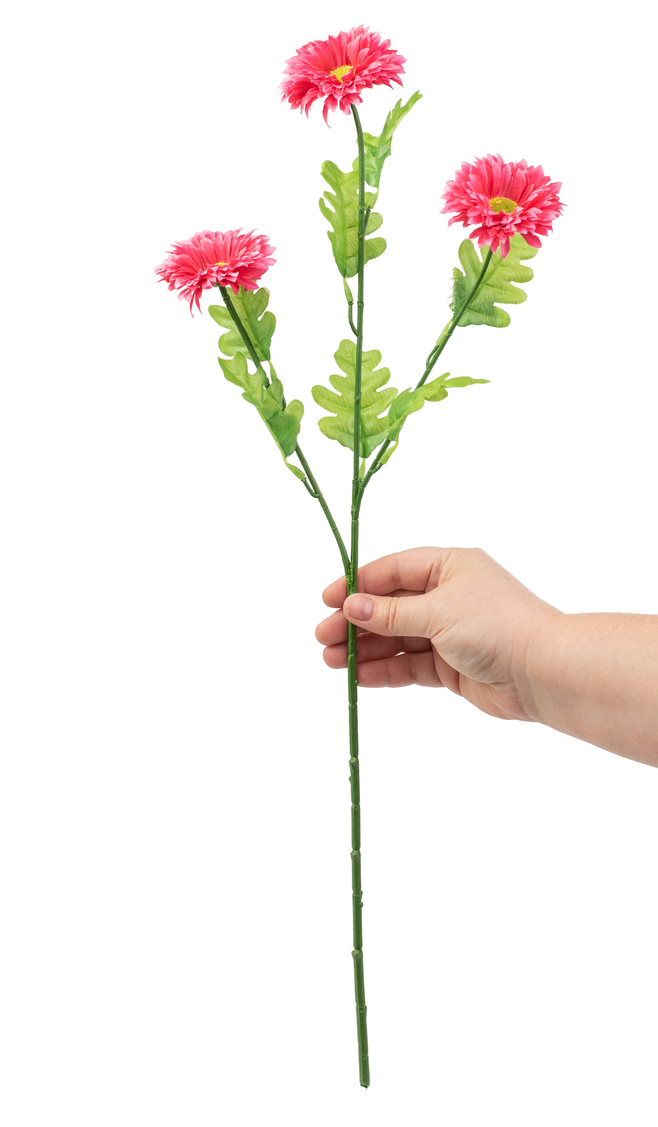 23" Gerber Daisies Spray: Fuchsia Pink detail photo 3