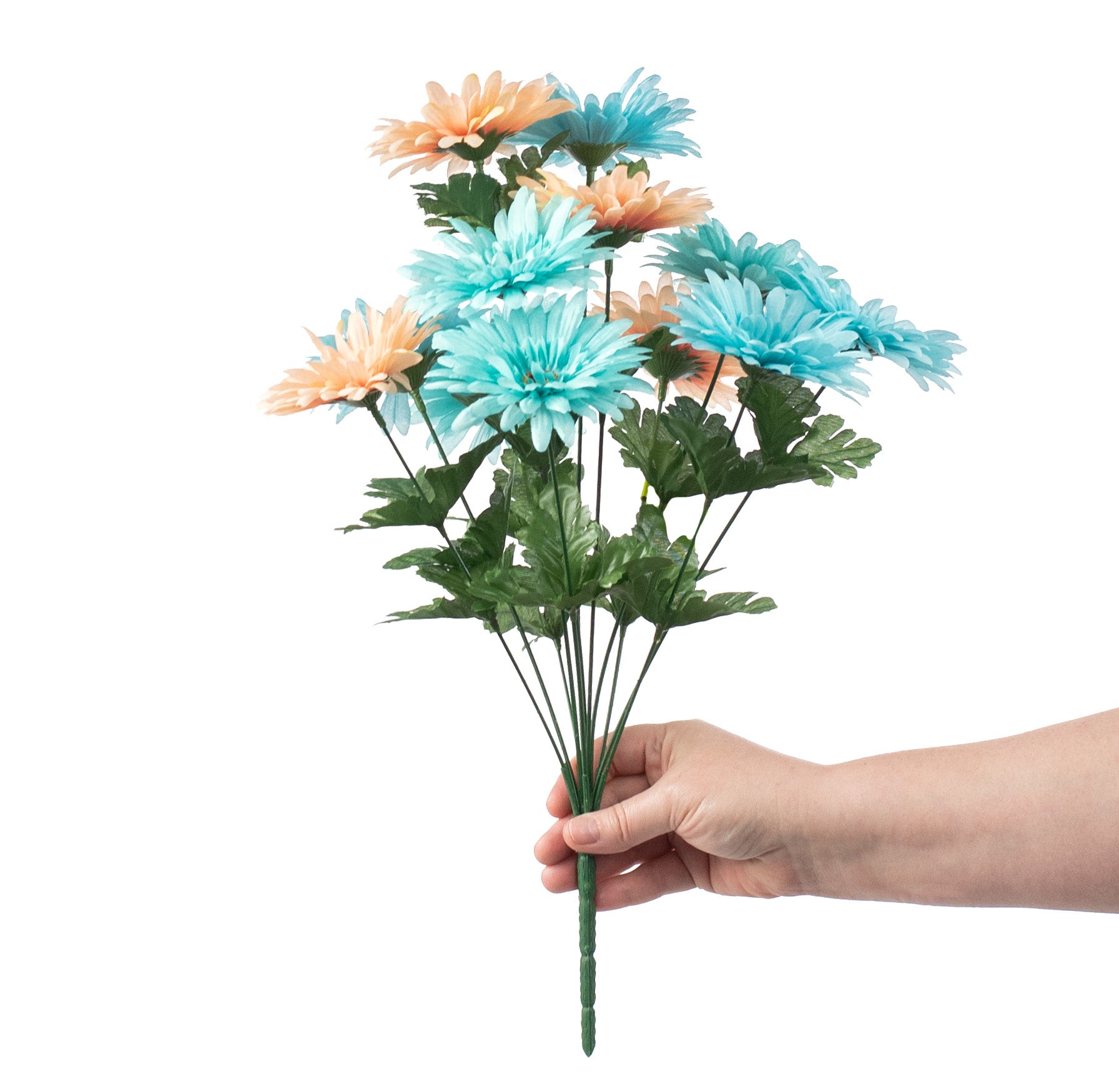 18" Gerbera Daisy Bush: Aqua & Coral detail photo 3