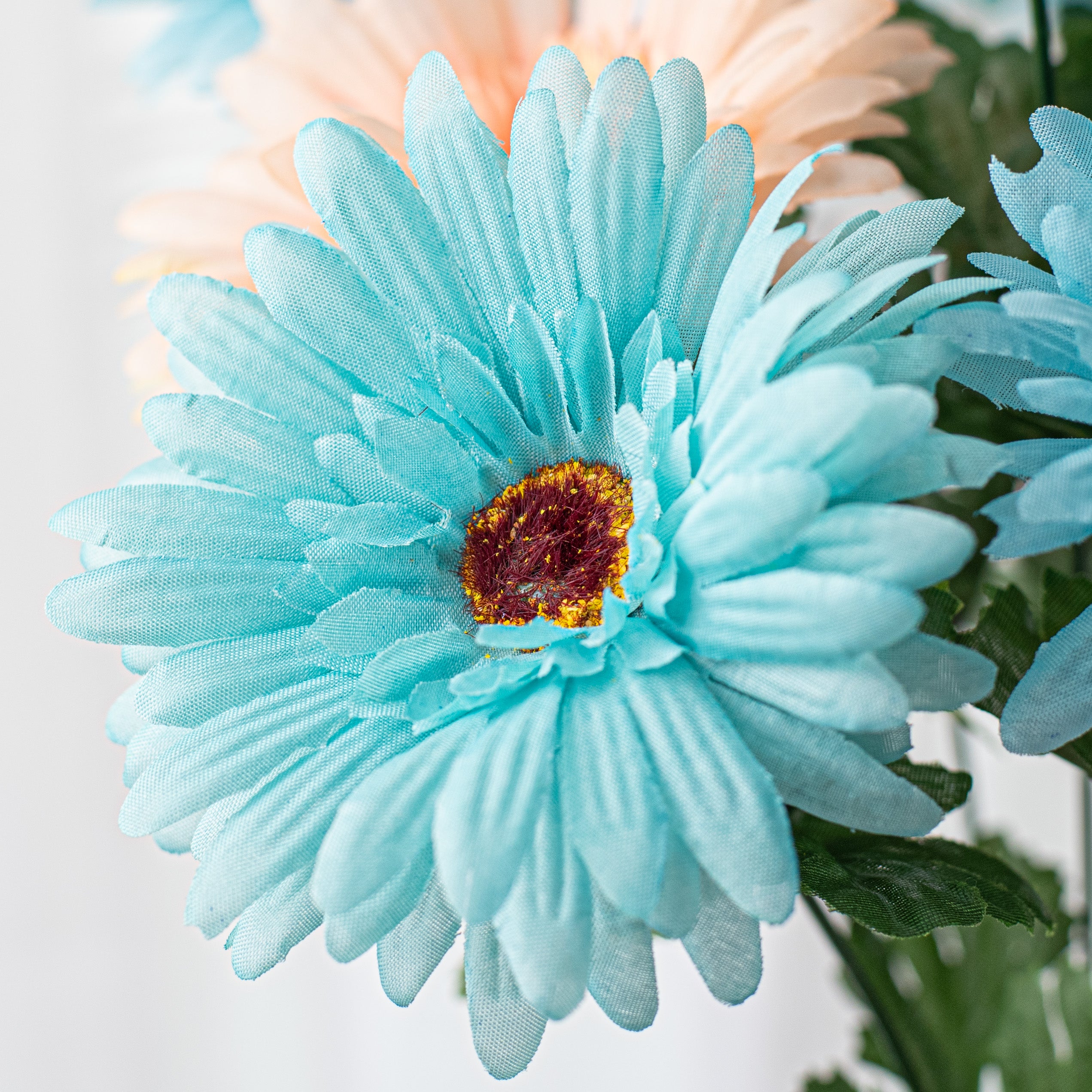 18" Gerbera Daisy Bush: Aqua & Coral detail photo 4