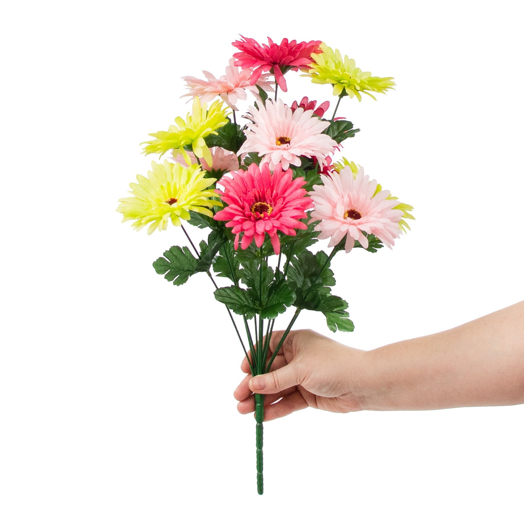18" Gerbera Daisy Bush: Hot Pink & Lime detail photo 3