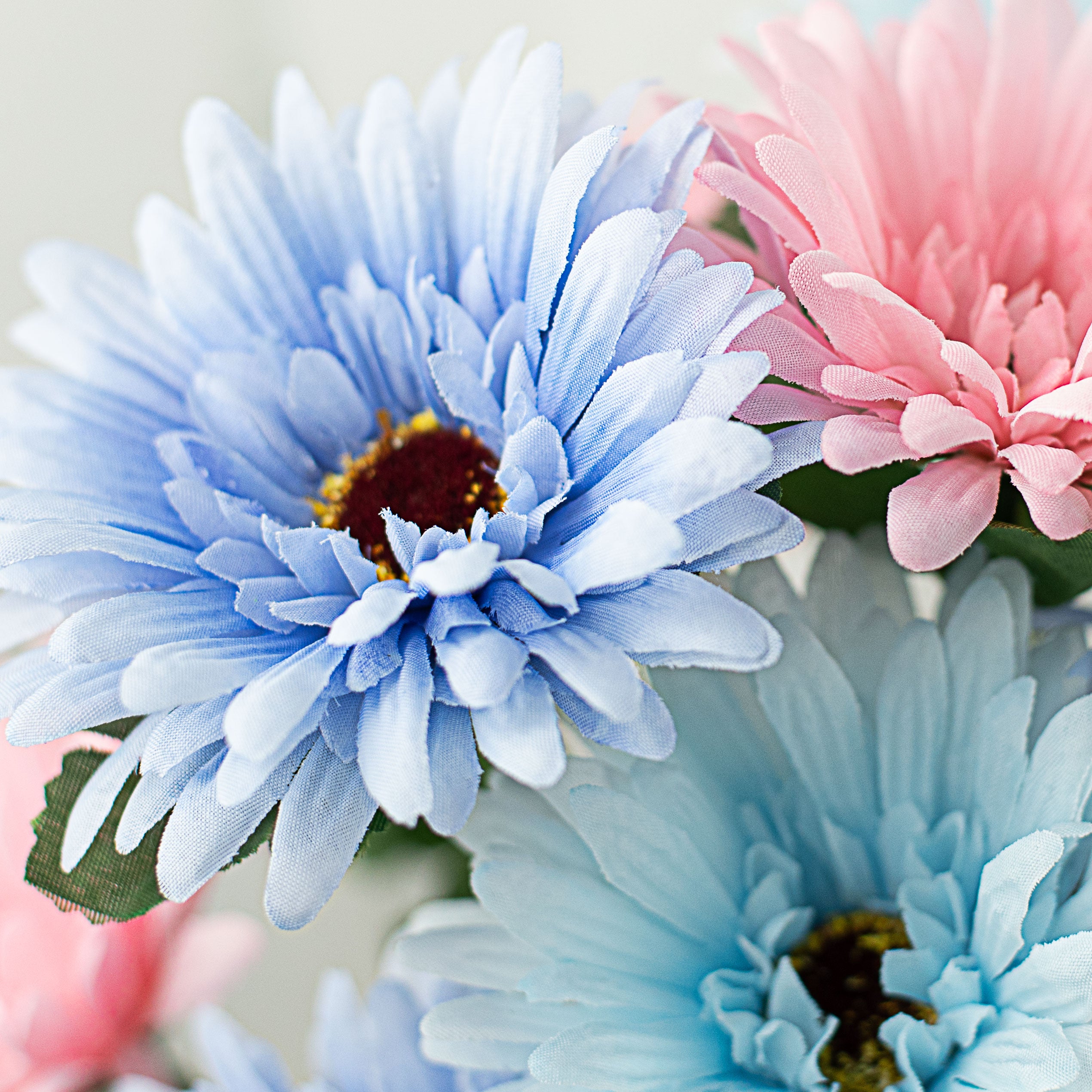 18" Gerbera Daisy Bush: Pastel (12 Stem) Lifestyle Photo