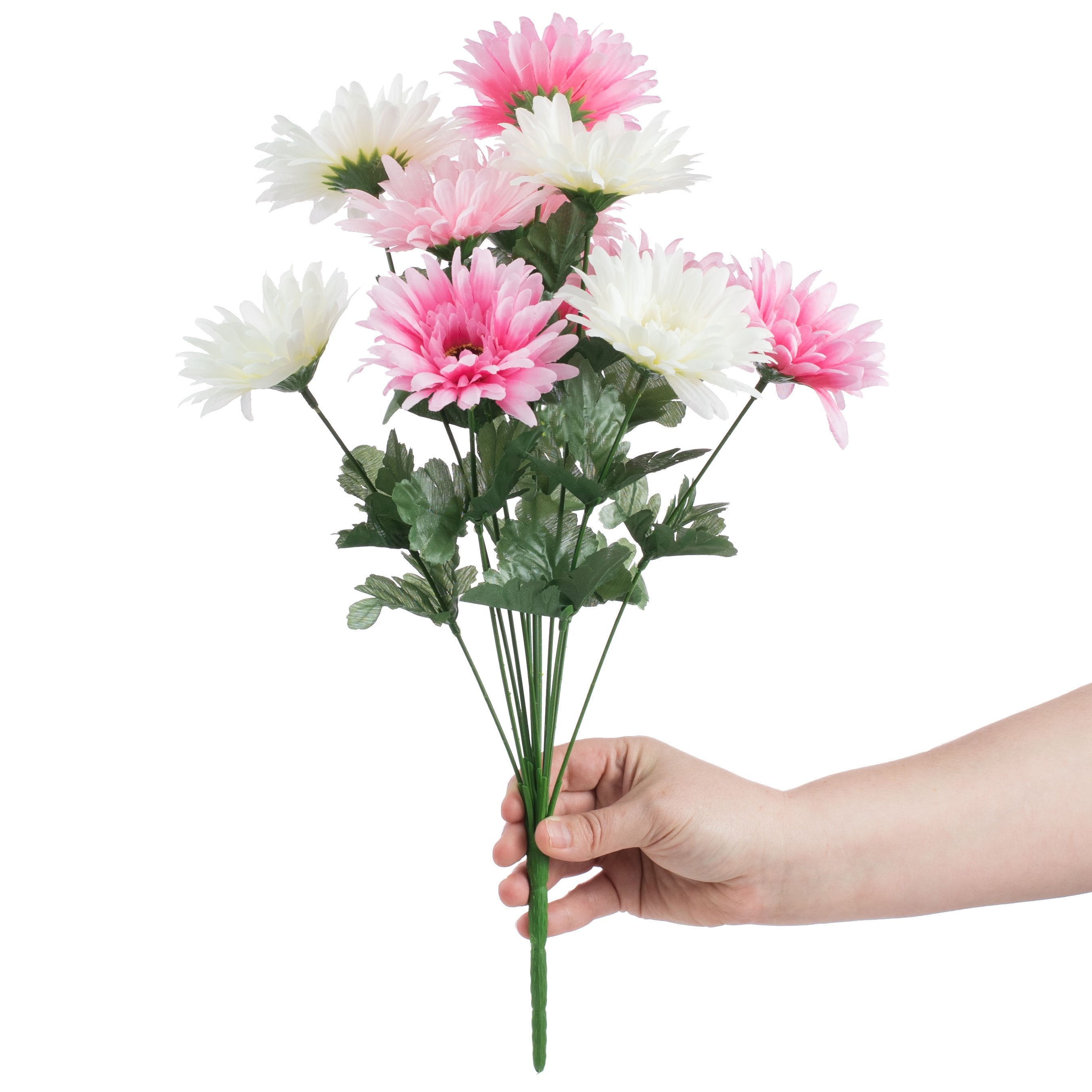 18" Gerbera Daisy Bush: Pink & Cream (12 Stem) Lifestyle Photo