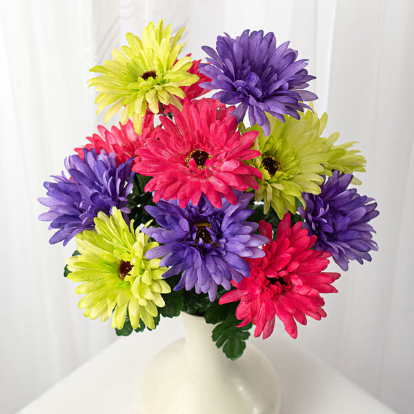 gerbera-daisy-bush-purple-