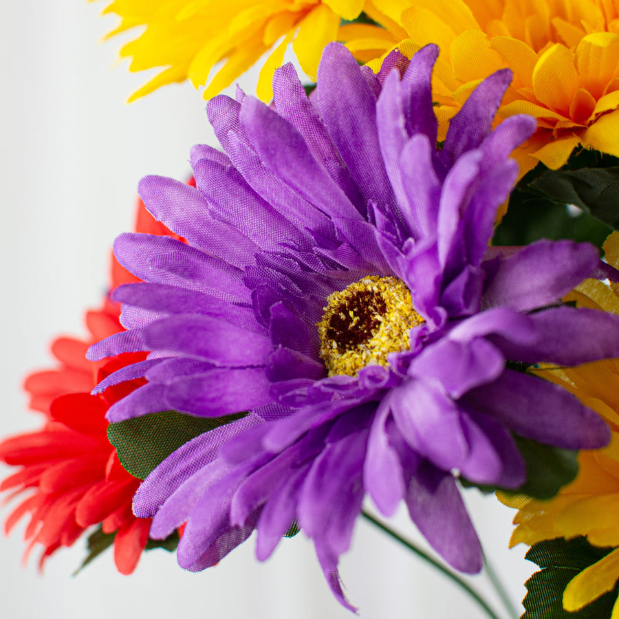 18" Gerbera Daisy Bush: Purple, Yellow, Red (12 Stem) Lifestyle Photo