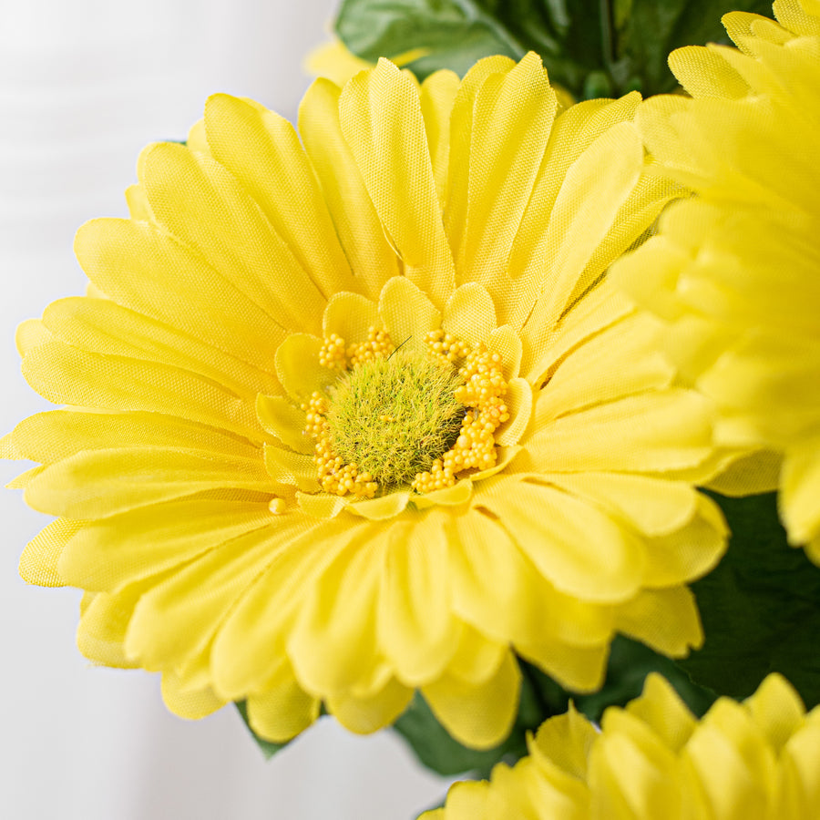 19" Gerbera Daisy Bush: Yellow Lifestyle Photo