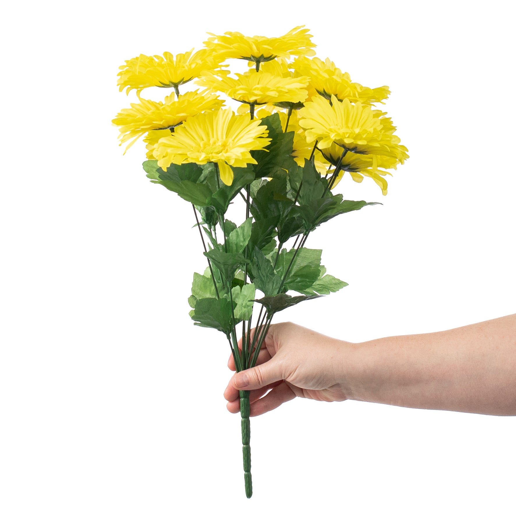 19" Gerbera Daisy Bush: Yellow detail photo 3