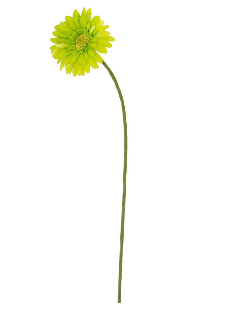 18" Gerbera Daisy Stem: Lime Green detail photo 4