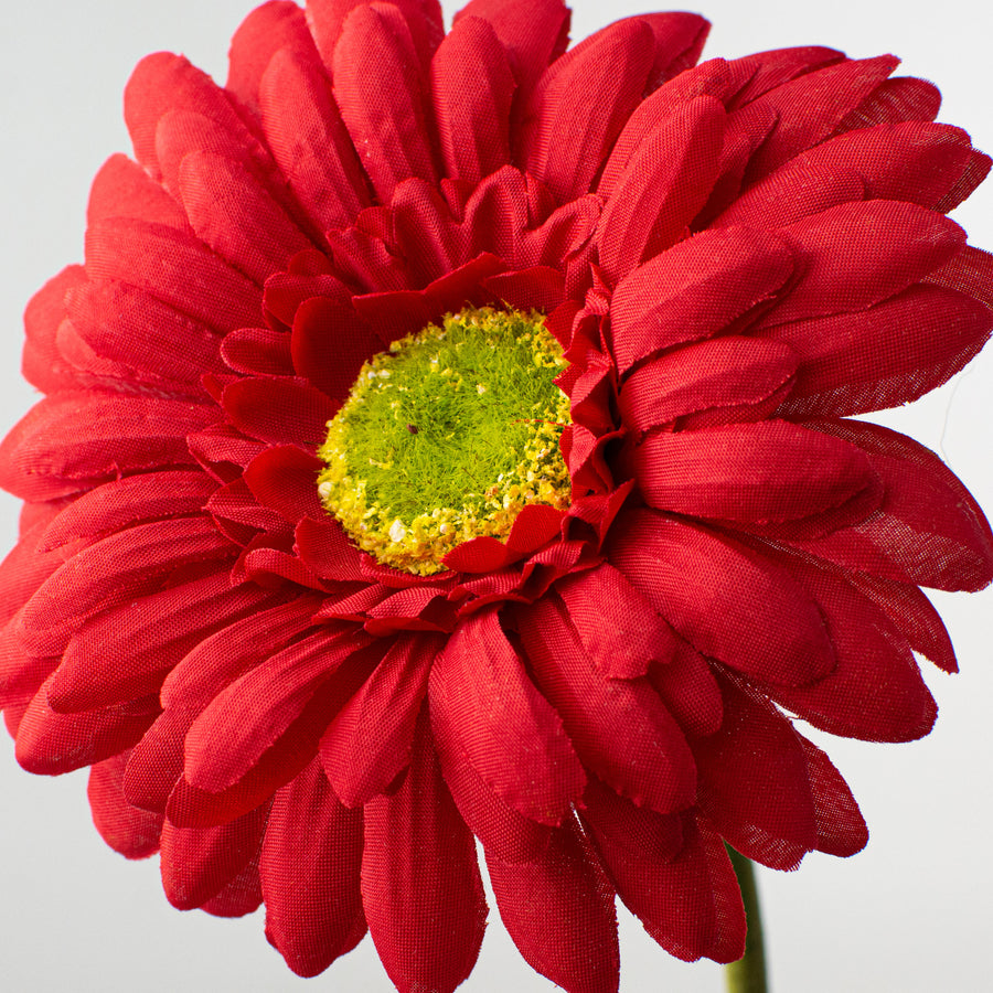18" Gerbera Daisy Stem: Red detail photo 3