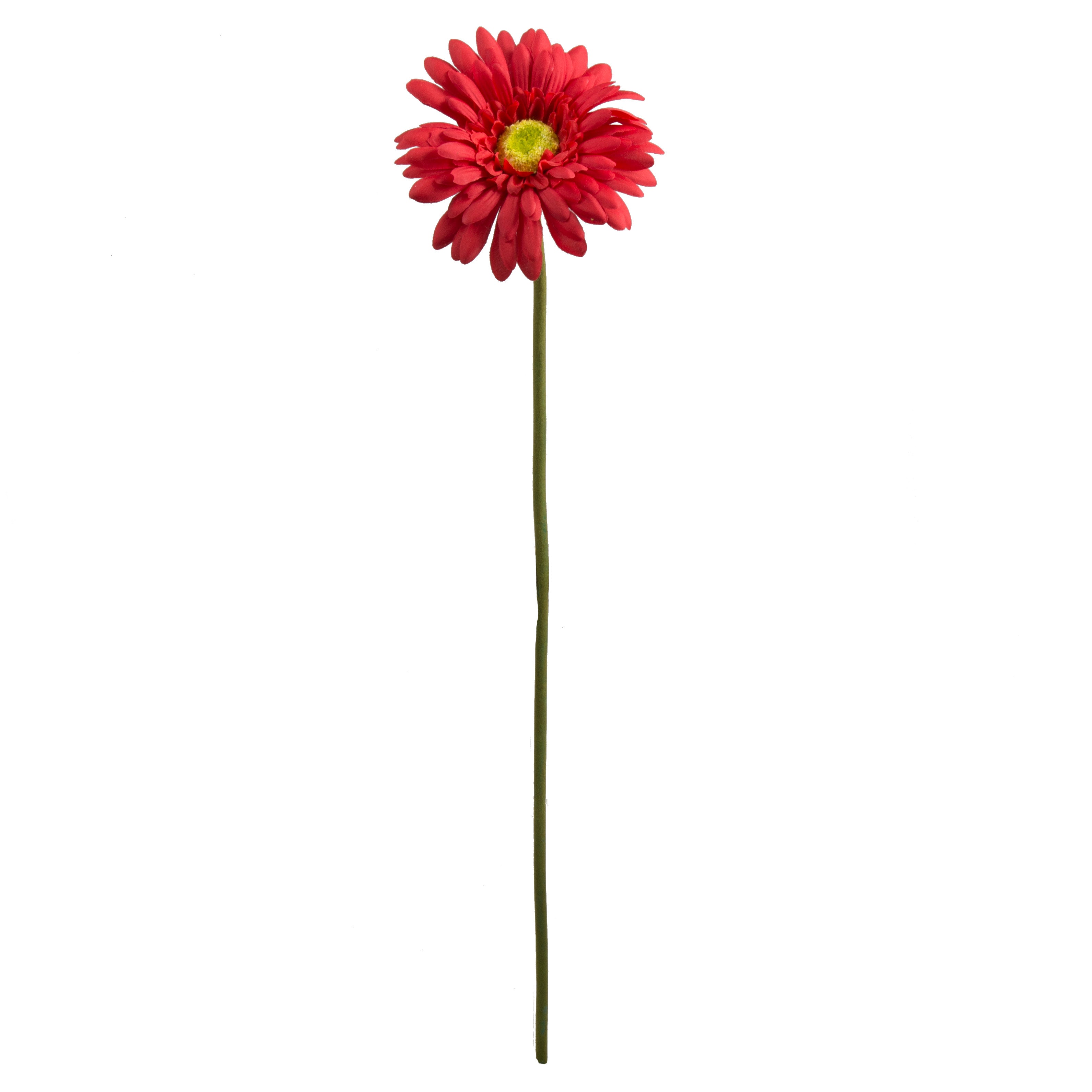 18" Gerbera Daisy Stem: Red detail photo 4