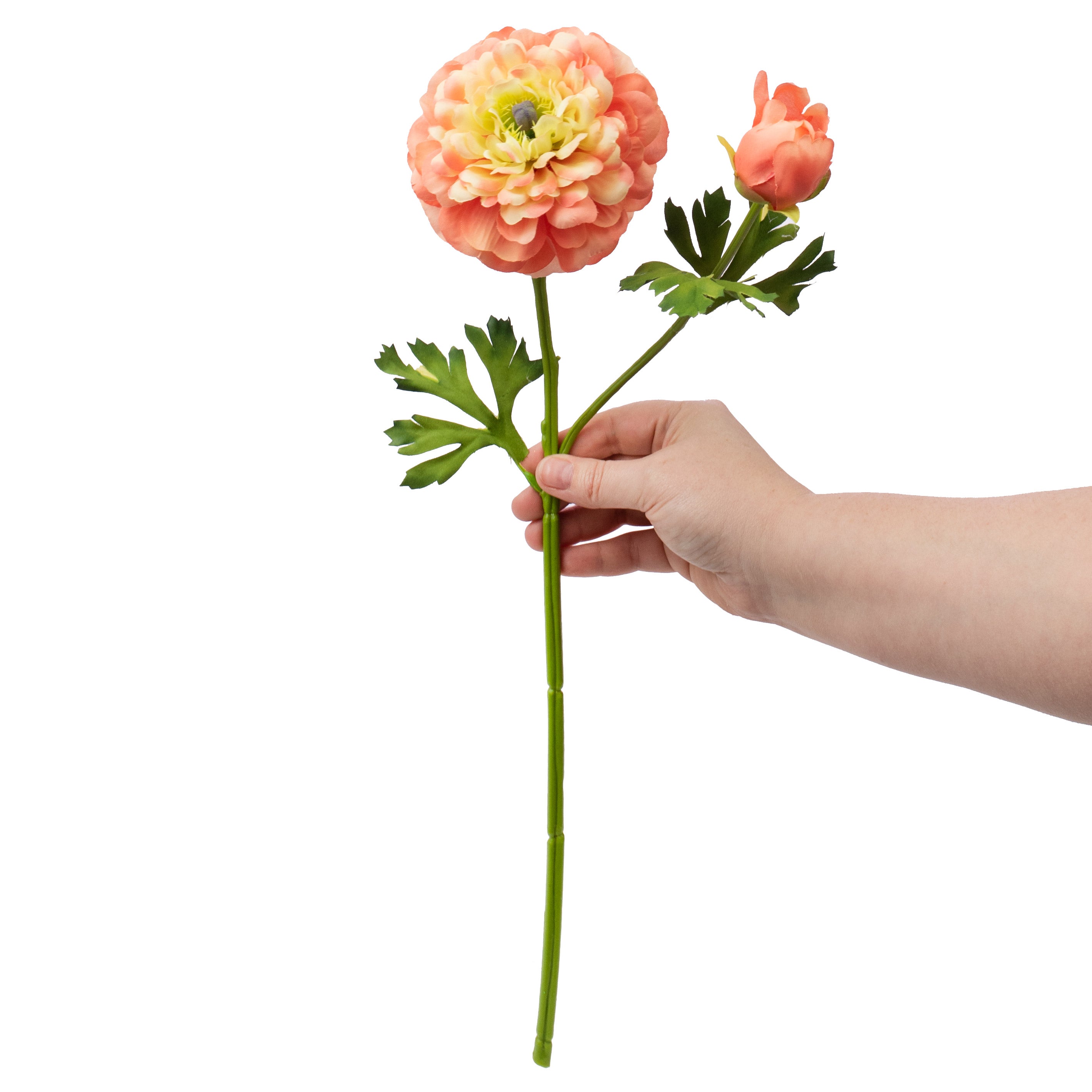 20" German Ranunculus Spray: Coral Lifestyle Photo