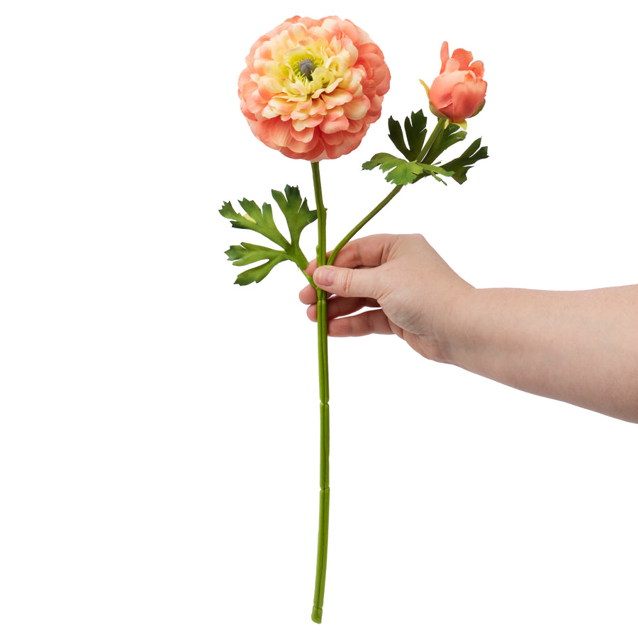 20" German Ranunculus Spray: Coral Lifestyle Photo