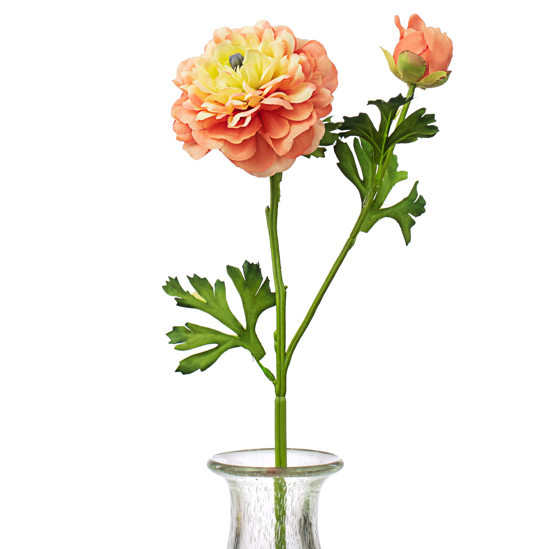 20" German Ranunculus Spray: Coral Item Number: 29350CO
