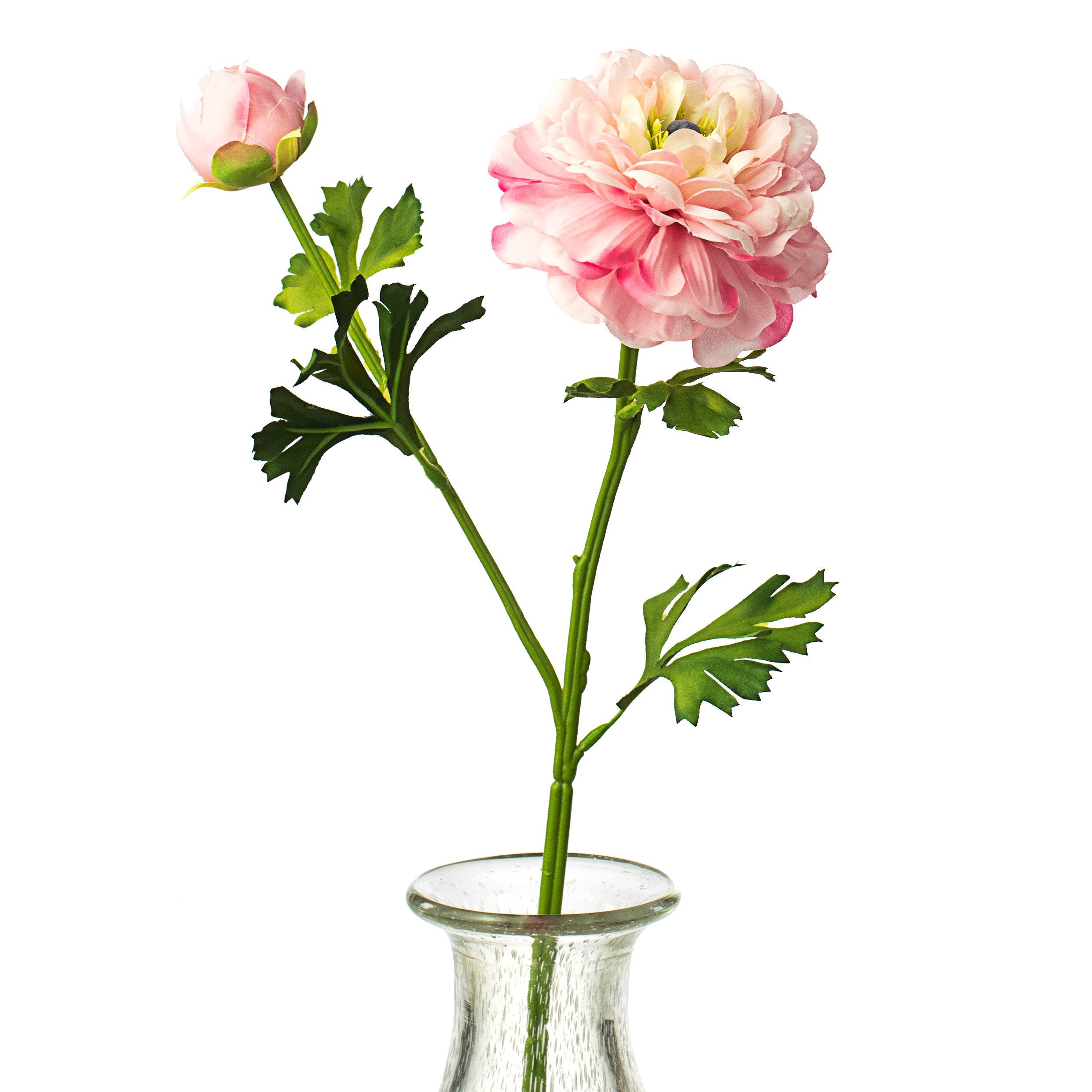 20" German Ranunculus Spray: Pink Item Number: 29350PK