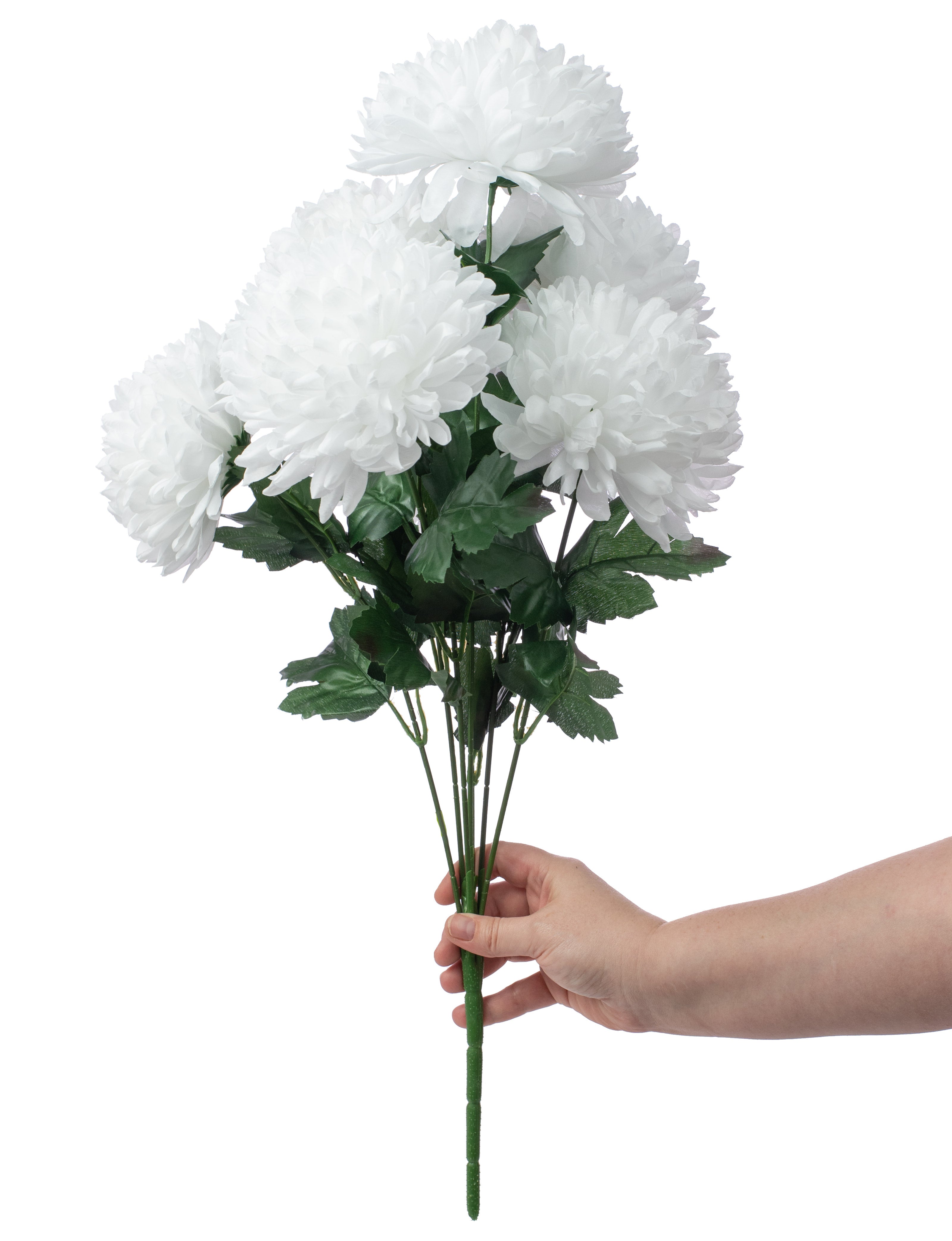 24" Giant Ball Mum Bush: White (7 Stem) Lifestyle Photo
