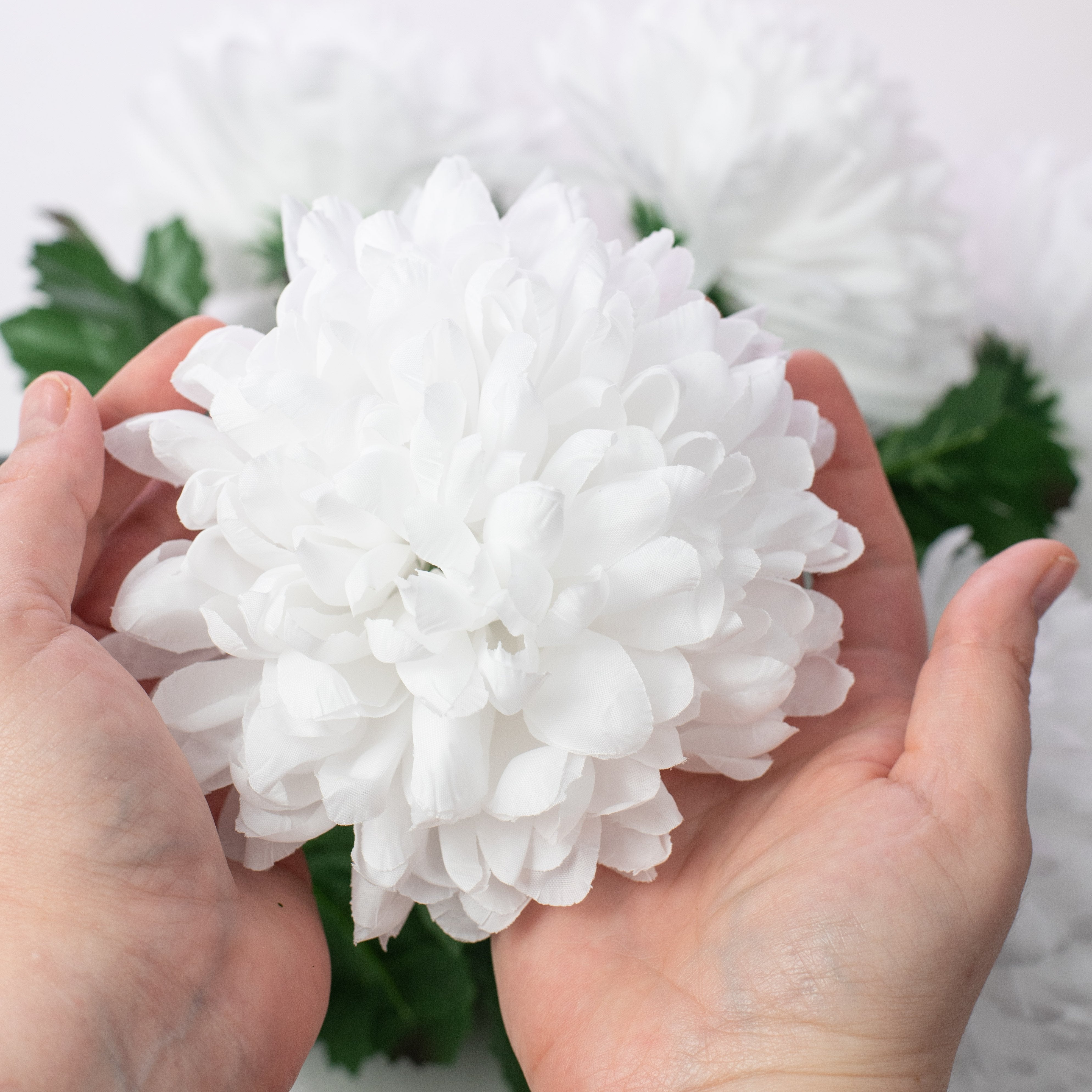 24" Giant Ball Mum Bush: White (7 Stem) detail photo 3