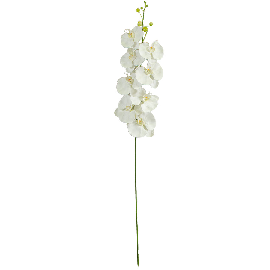 60" Giant Phalaenopsis Orchid Branch: White Item Number: 2230002WH