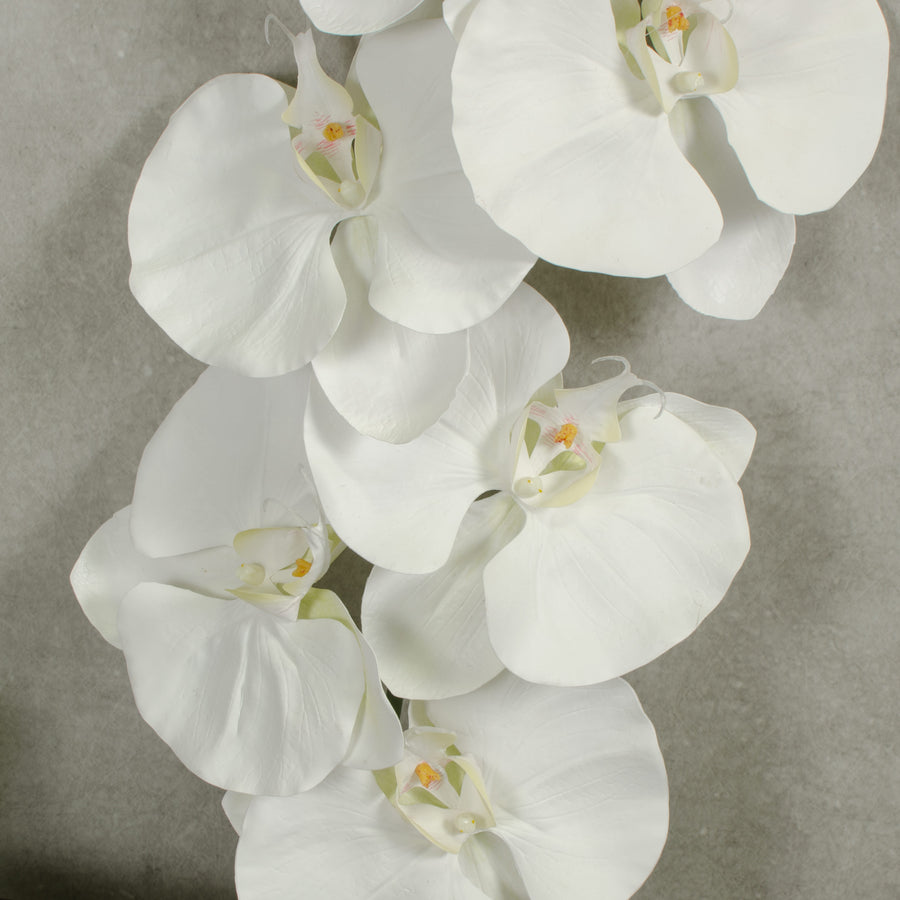 60" Giant Phalaenopsis Orchid Branch: White detail photo 3