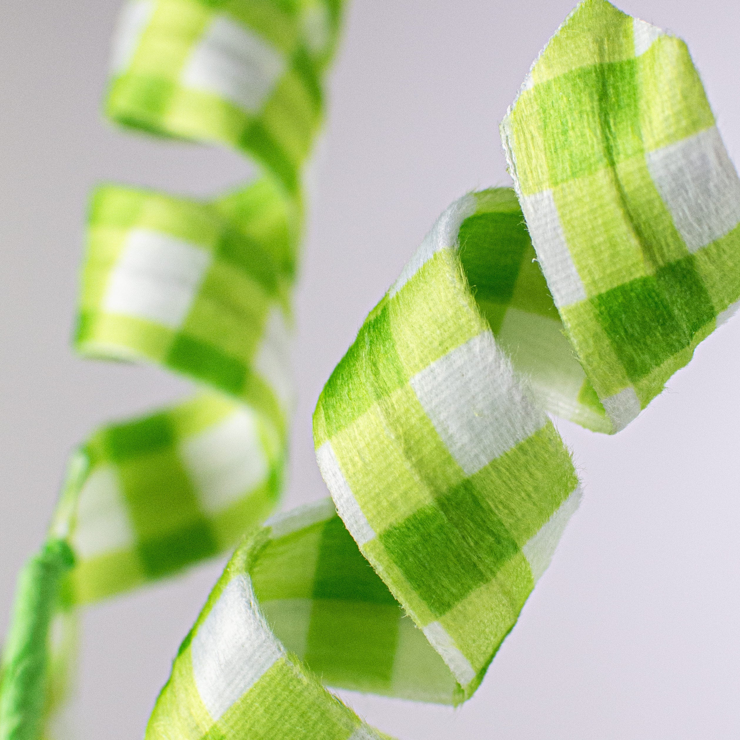 24" Gingham Curly Spray: Green Lifestyle Photo
