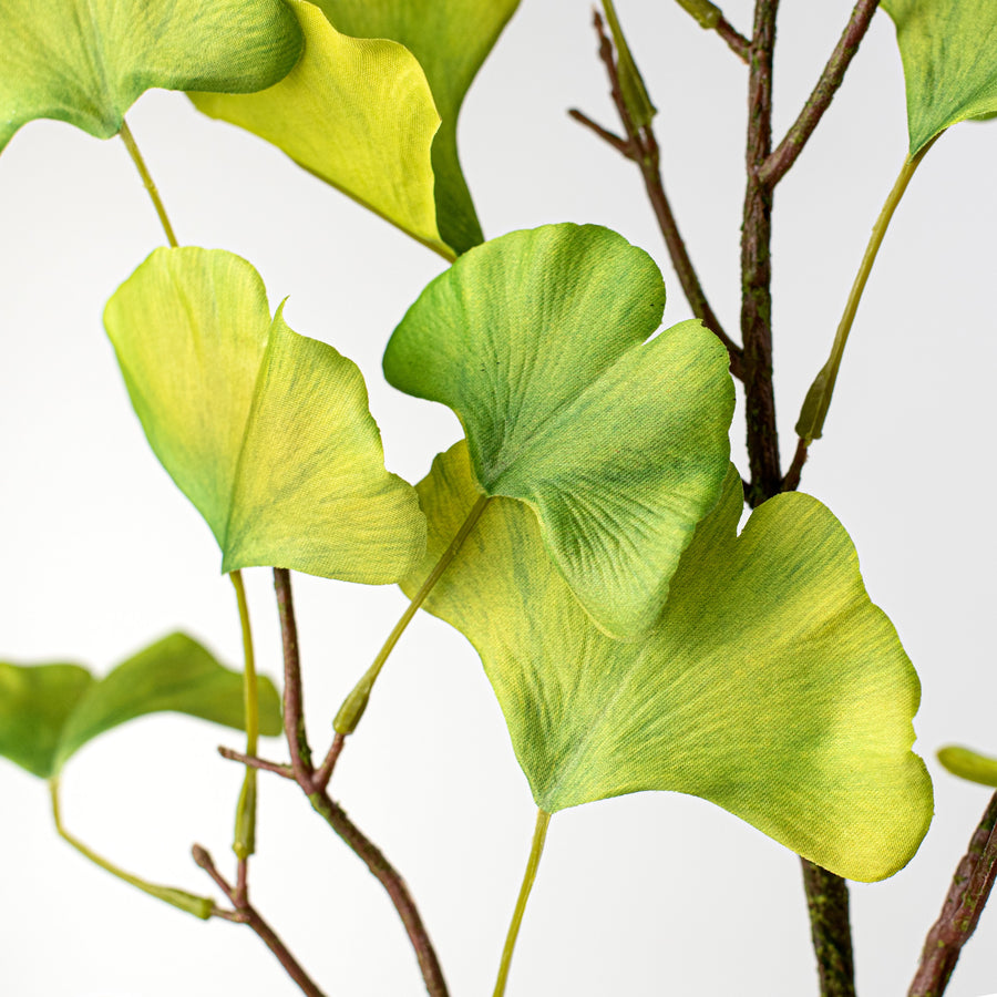 31" Ginkgo Biloba Spray Lifestyle Photo