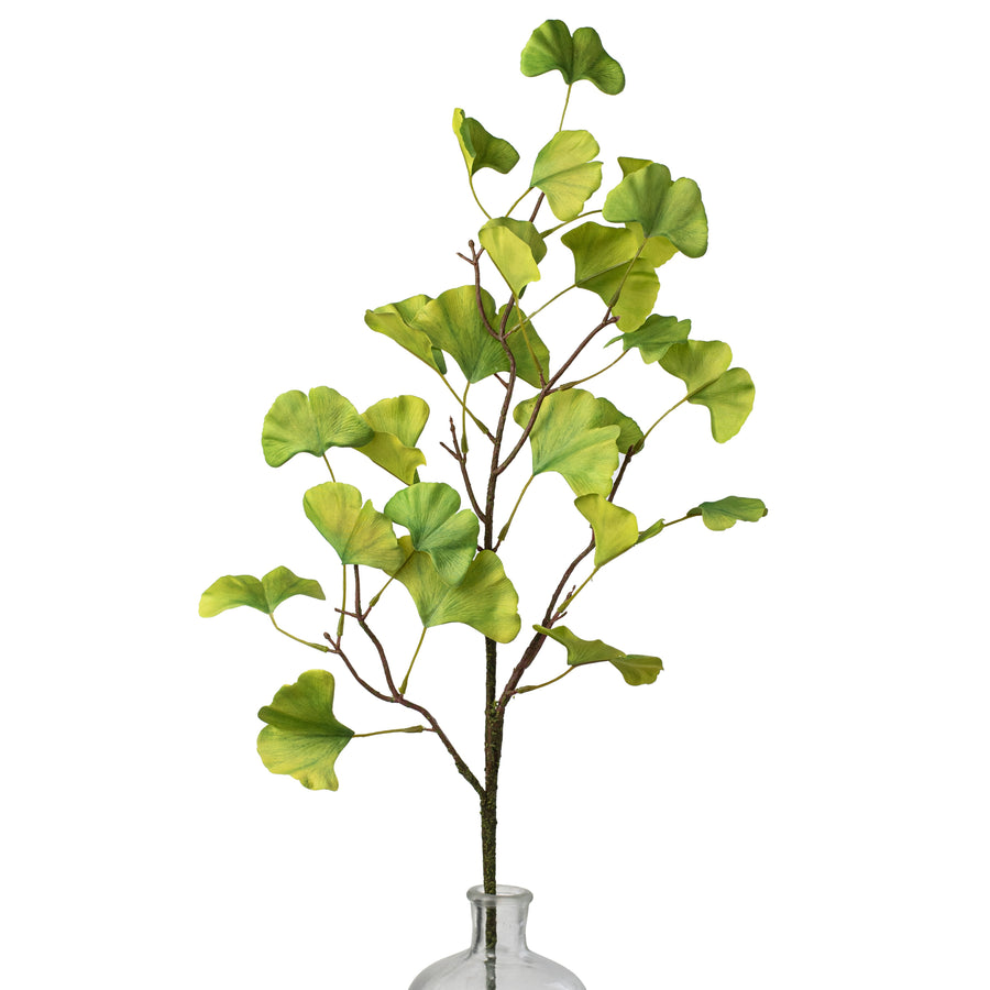 31" Ginkgo Biloba Spray Item Number: 211473