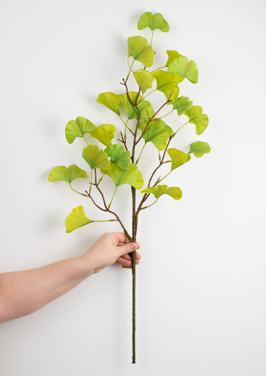31" Ginkgo Biloba Spray detail photo 3