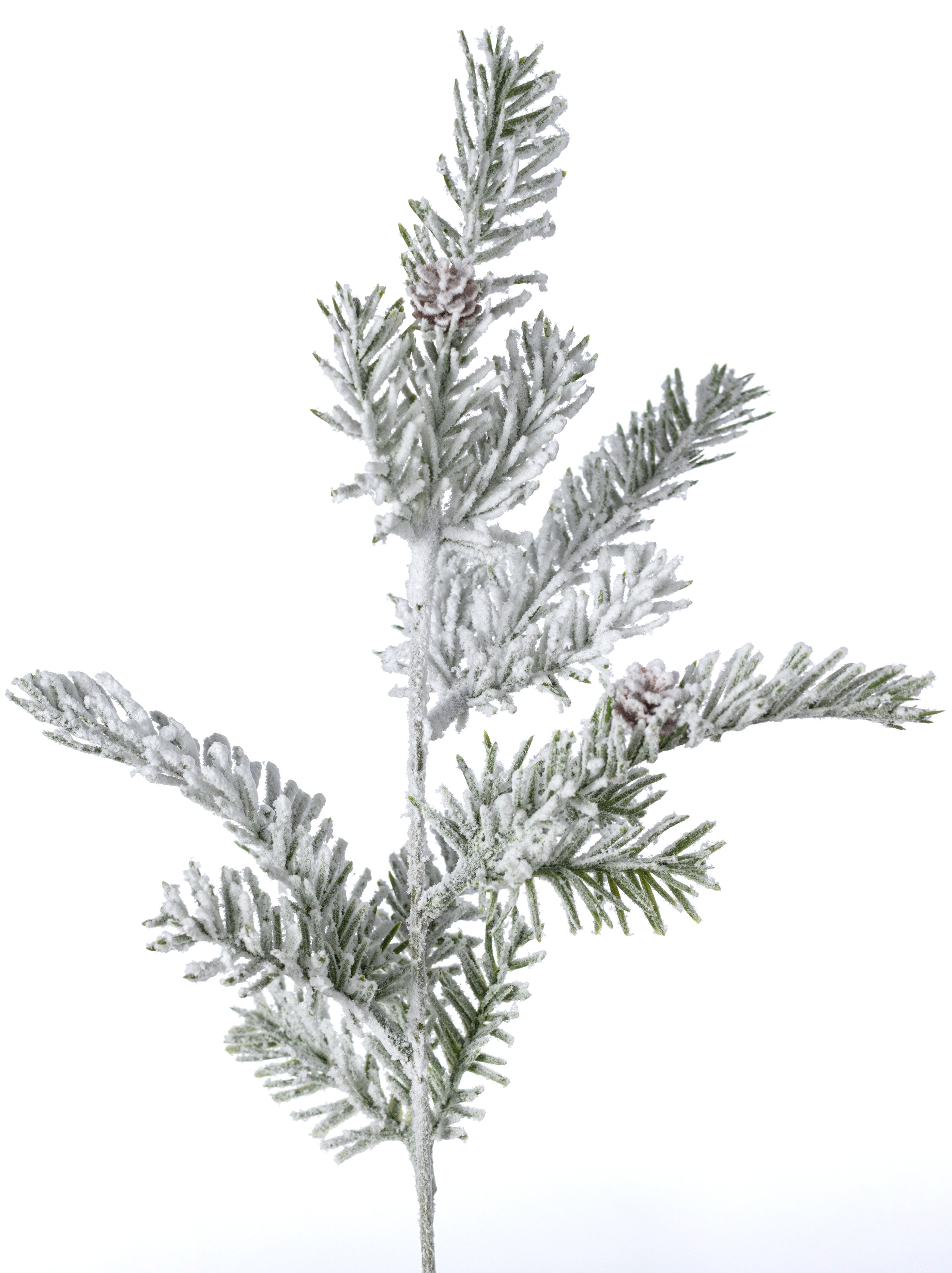 20" Flocked Douglas Fir Pine Bush