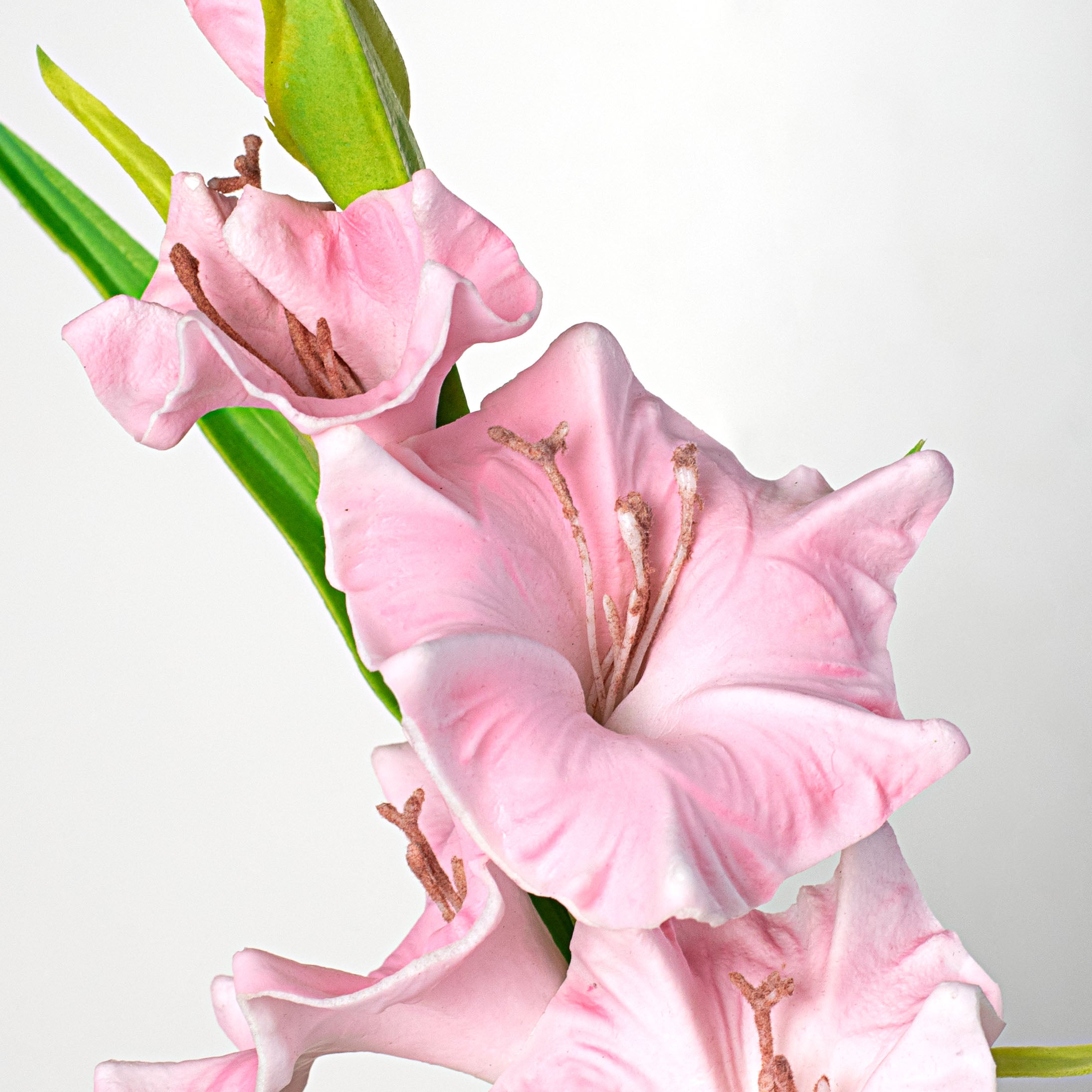 22" Gladiolus Flower Spray: Pink Lifestyle Photo