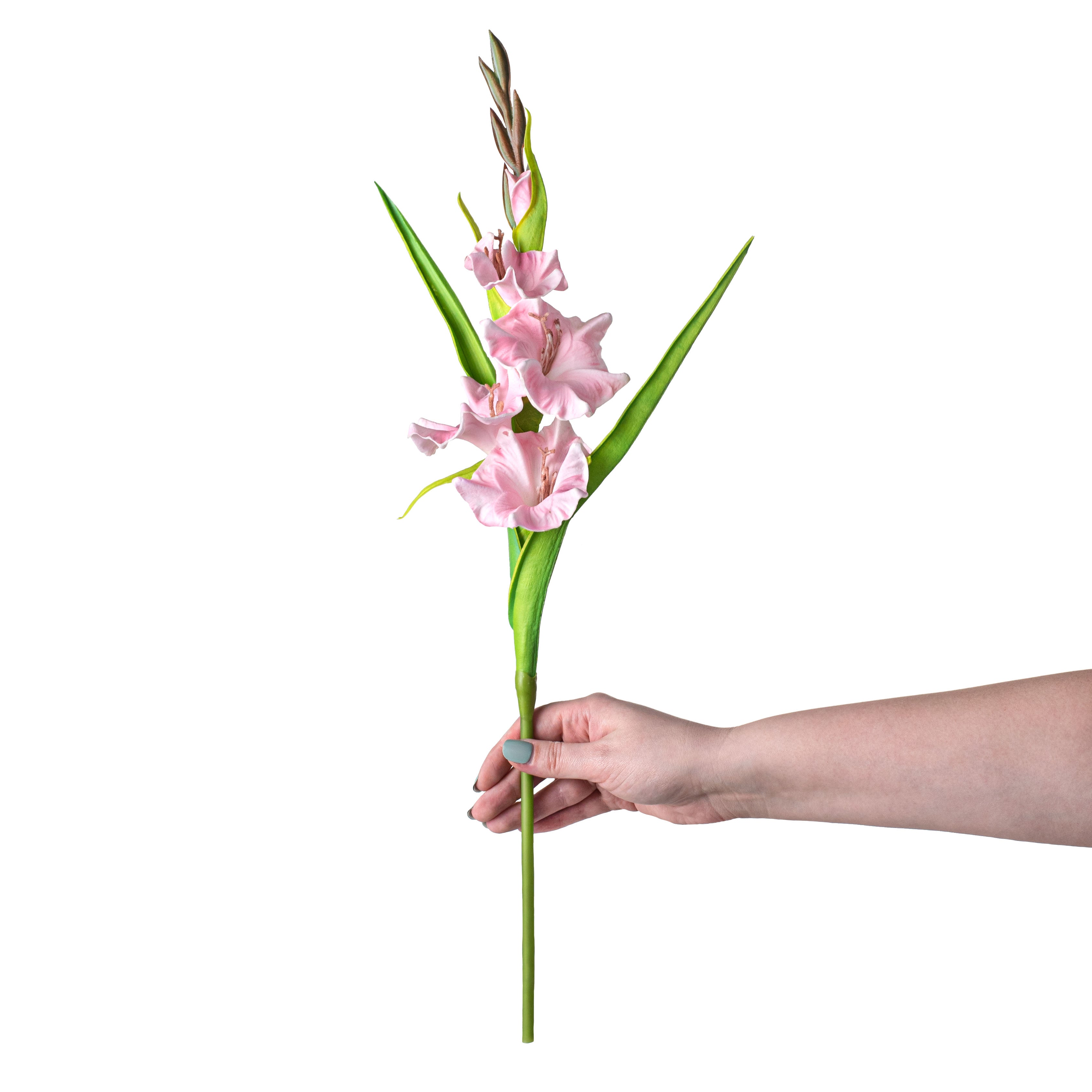 22" Gladiolus Flower Spray: Pink detail photo 3
