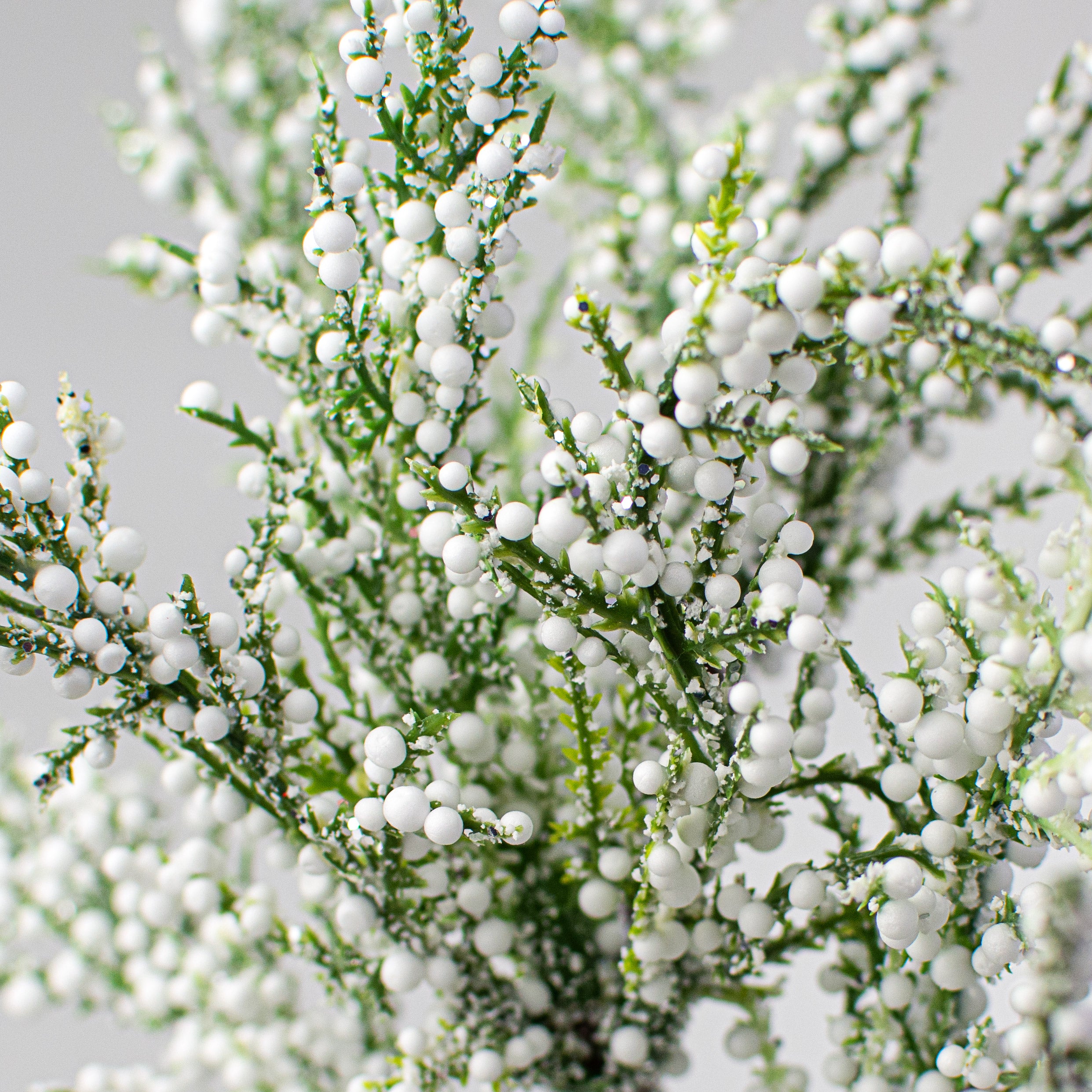 25" Glitter Arborvitae Cedar Spray Lifestyle Photo