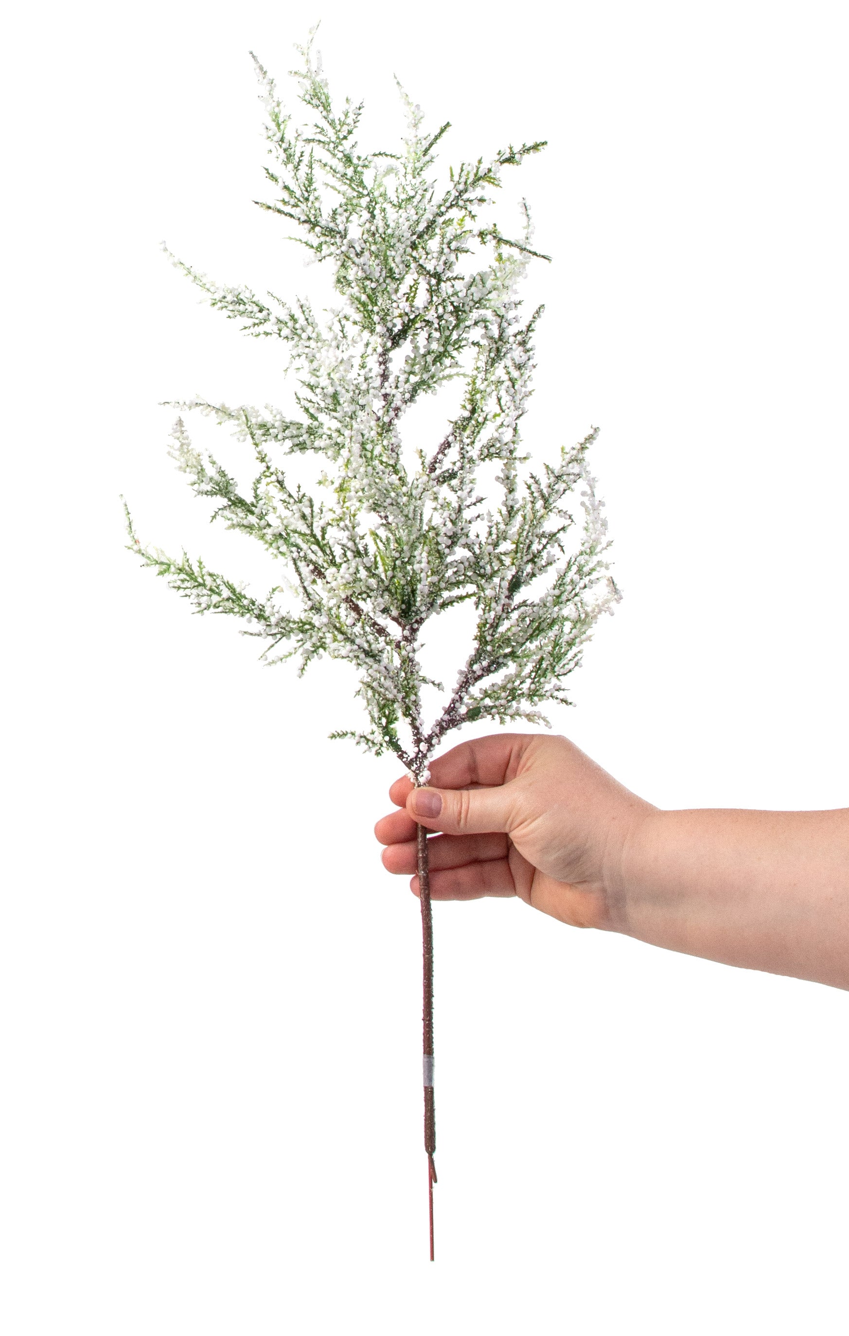25" Glitter Arborvitae Cedar Spray detail photo 3