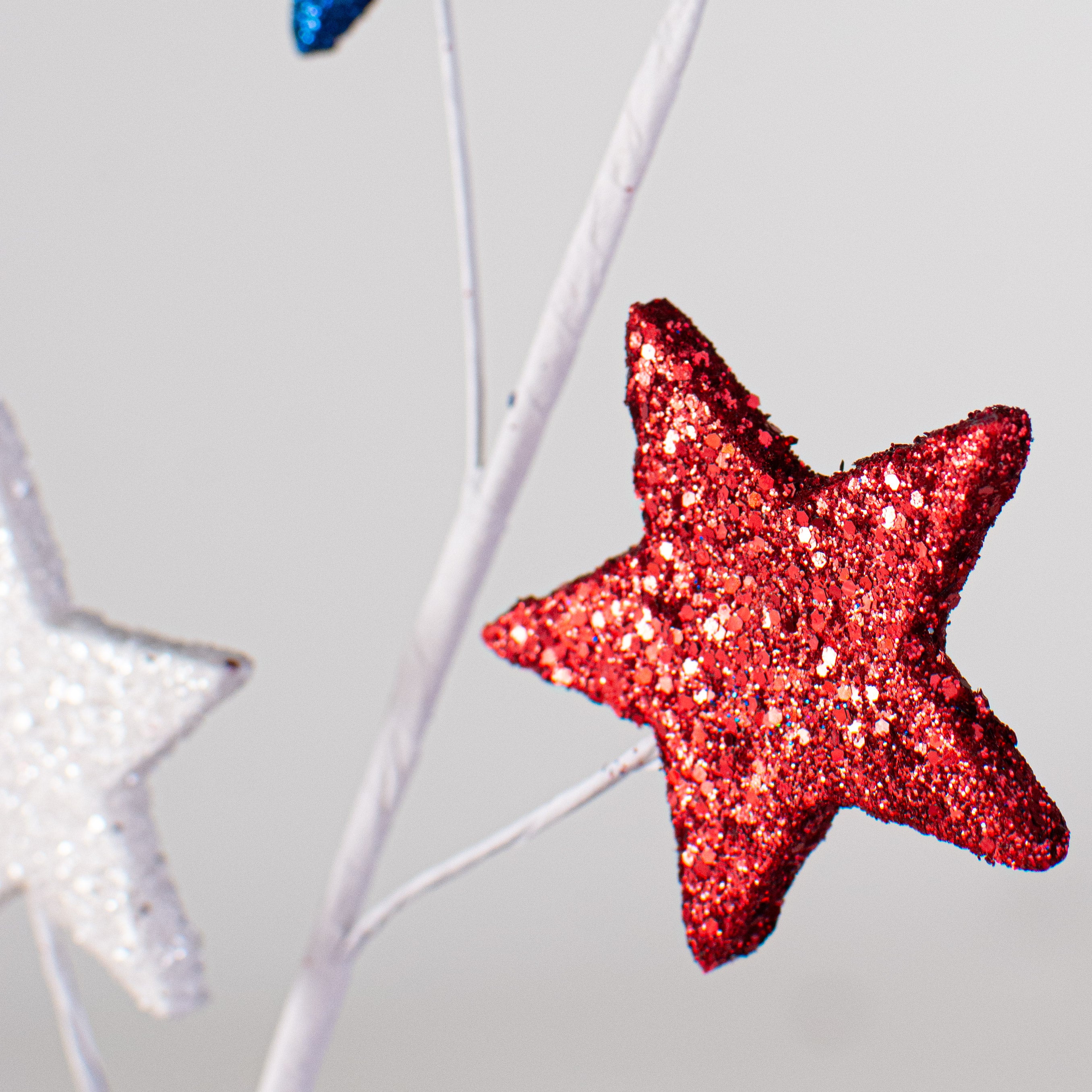 28" Glitter Star Spray: RWB Lifestyle Photo