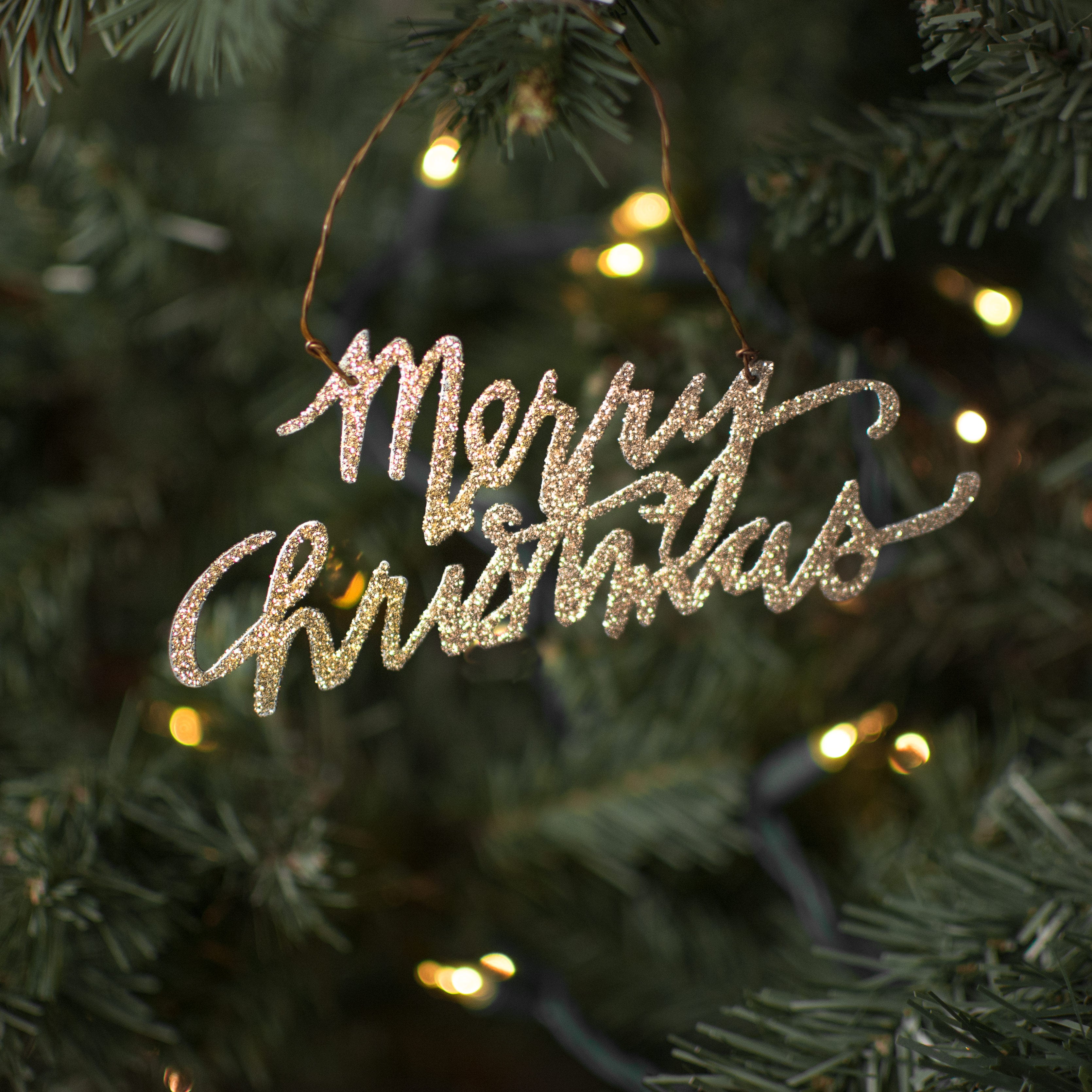 5.5" Glitter Words Ornament: Silver Merry Christmas Lifestyle Photo