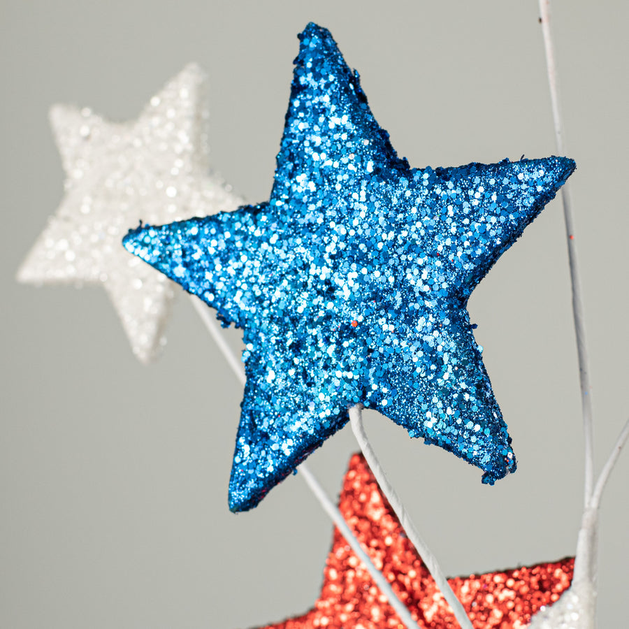 24" Glittered Star Spray: Red, White, Blue Lifestyle Photo