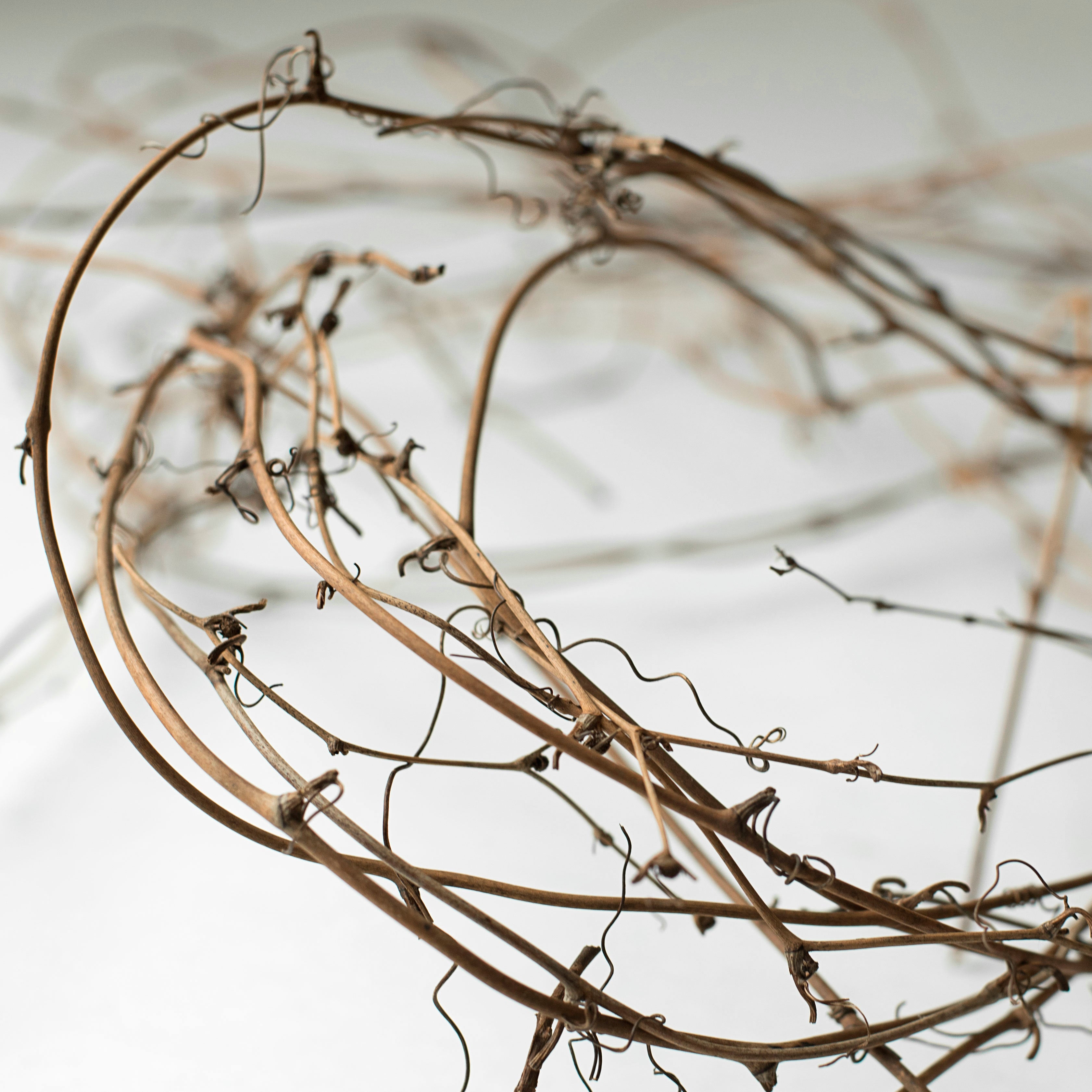 7' Grapevine Bundle Garland detail photo 3